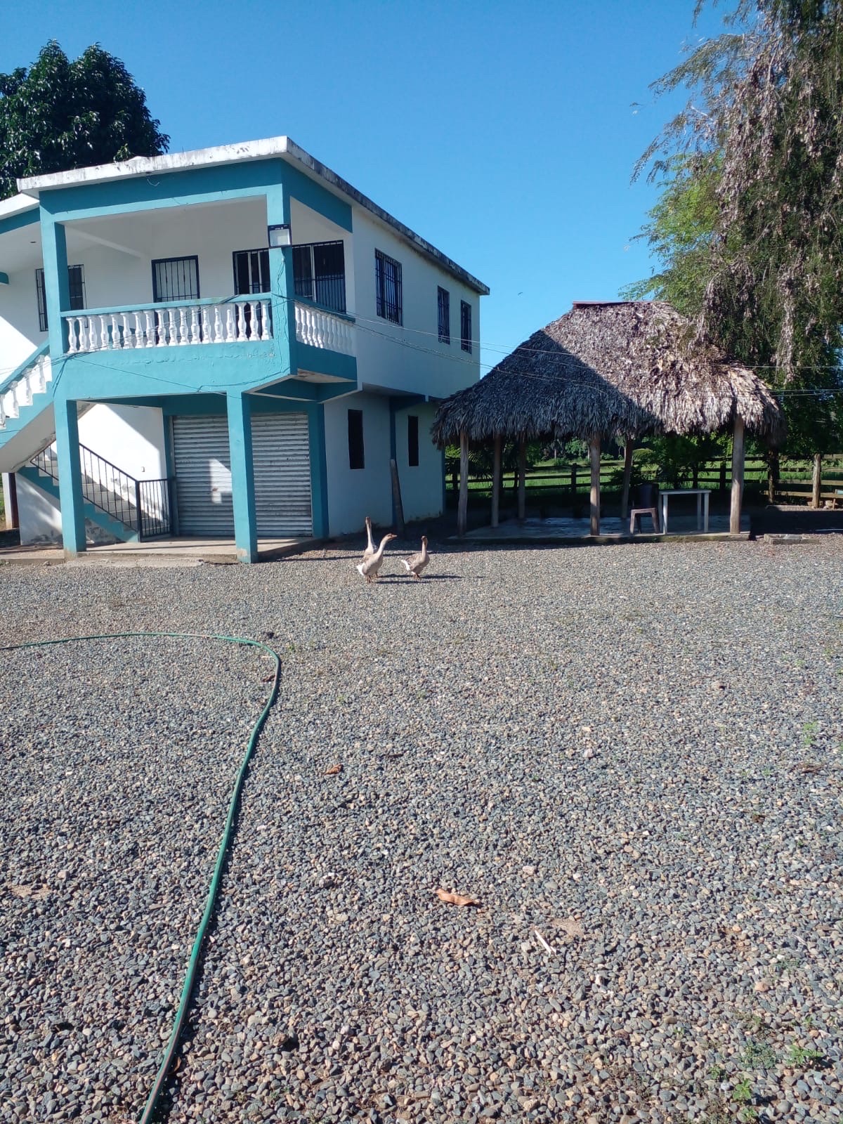 casas vacacionales y villas - casa con finca ganadera  7