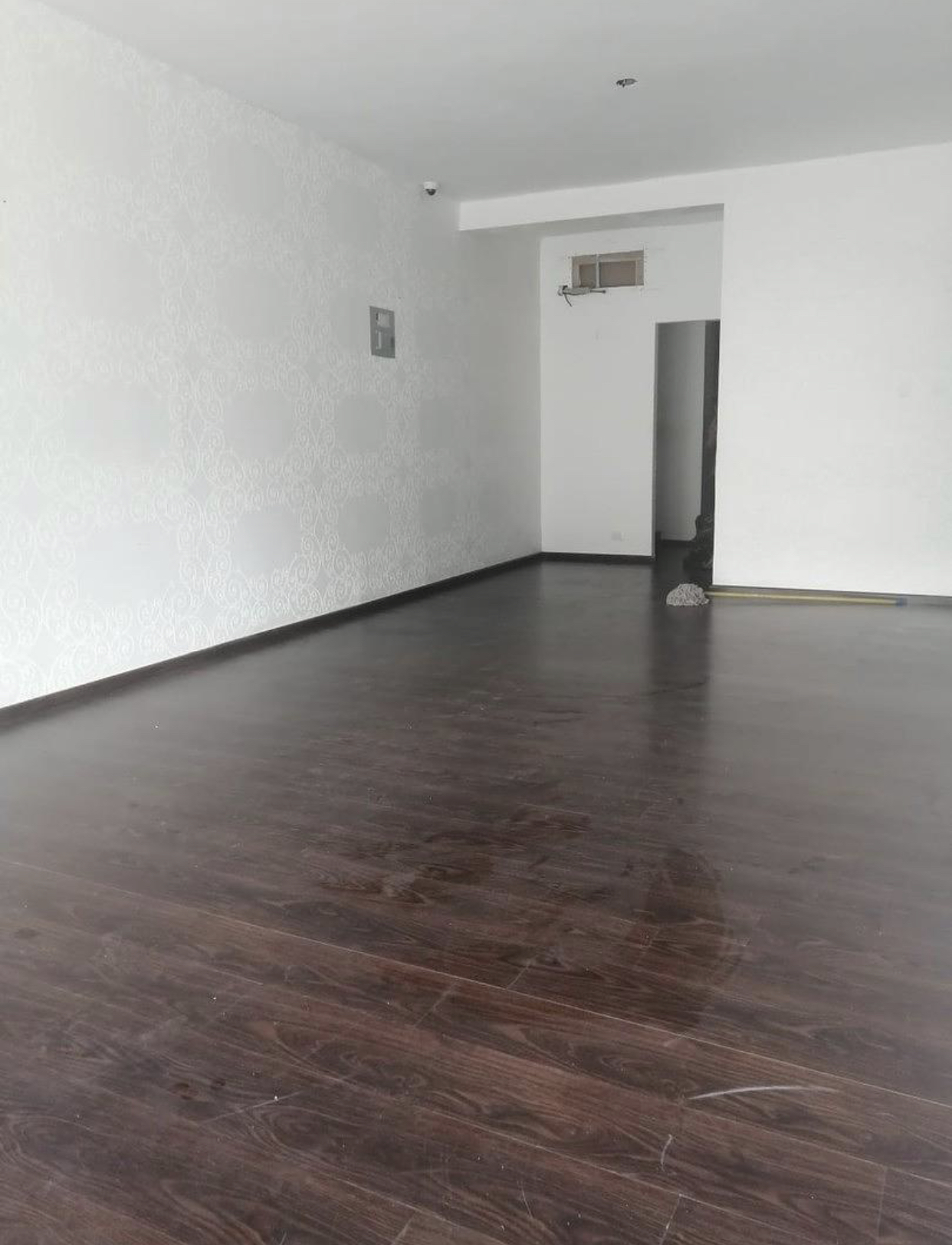 oficinas y locales comerciales - Local moderno y céntrico evaristo 3
