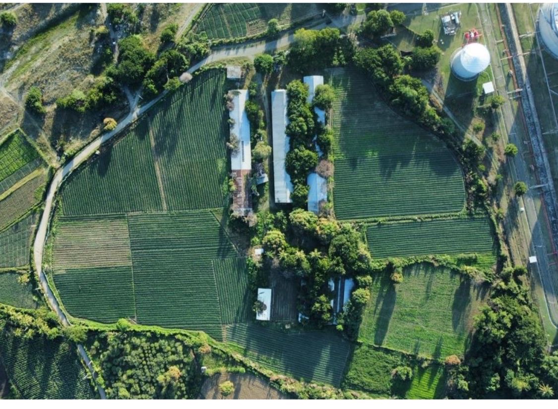 solares y terrenos - Finca en Nizao 