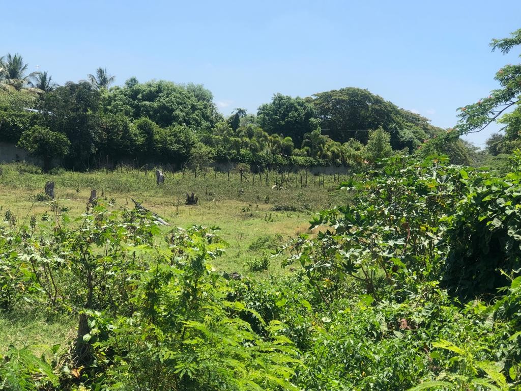 solares y terrenos - 24,250 mts.2  en La Autopista Santiago–Navarrete, PROX. A LA CIRCUNVALACION 8