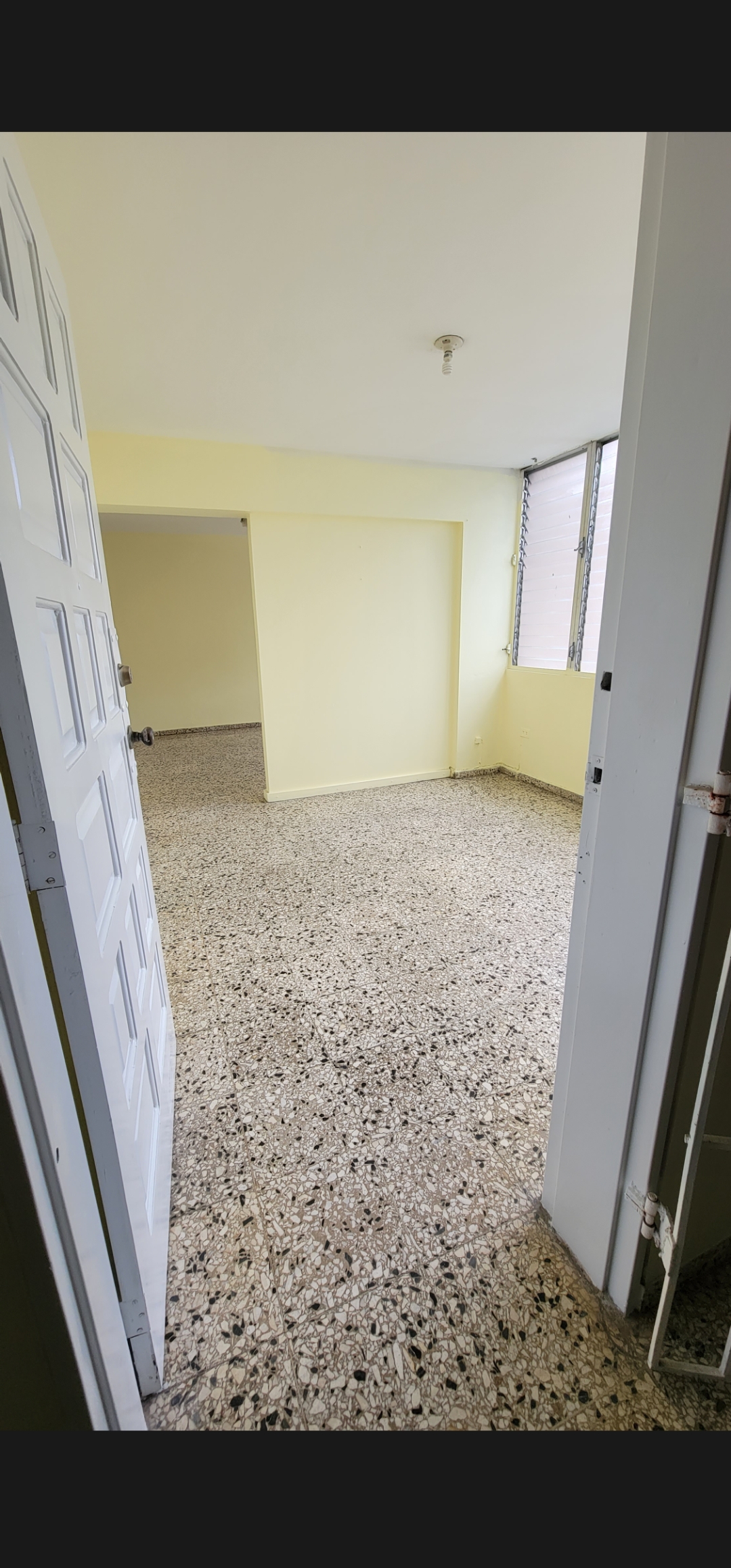 oficinas y locales comerciales - ALQUILER EN PIANTINI, aprovecha esta oportunidad  4