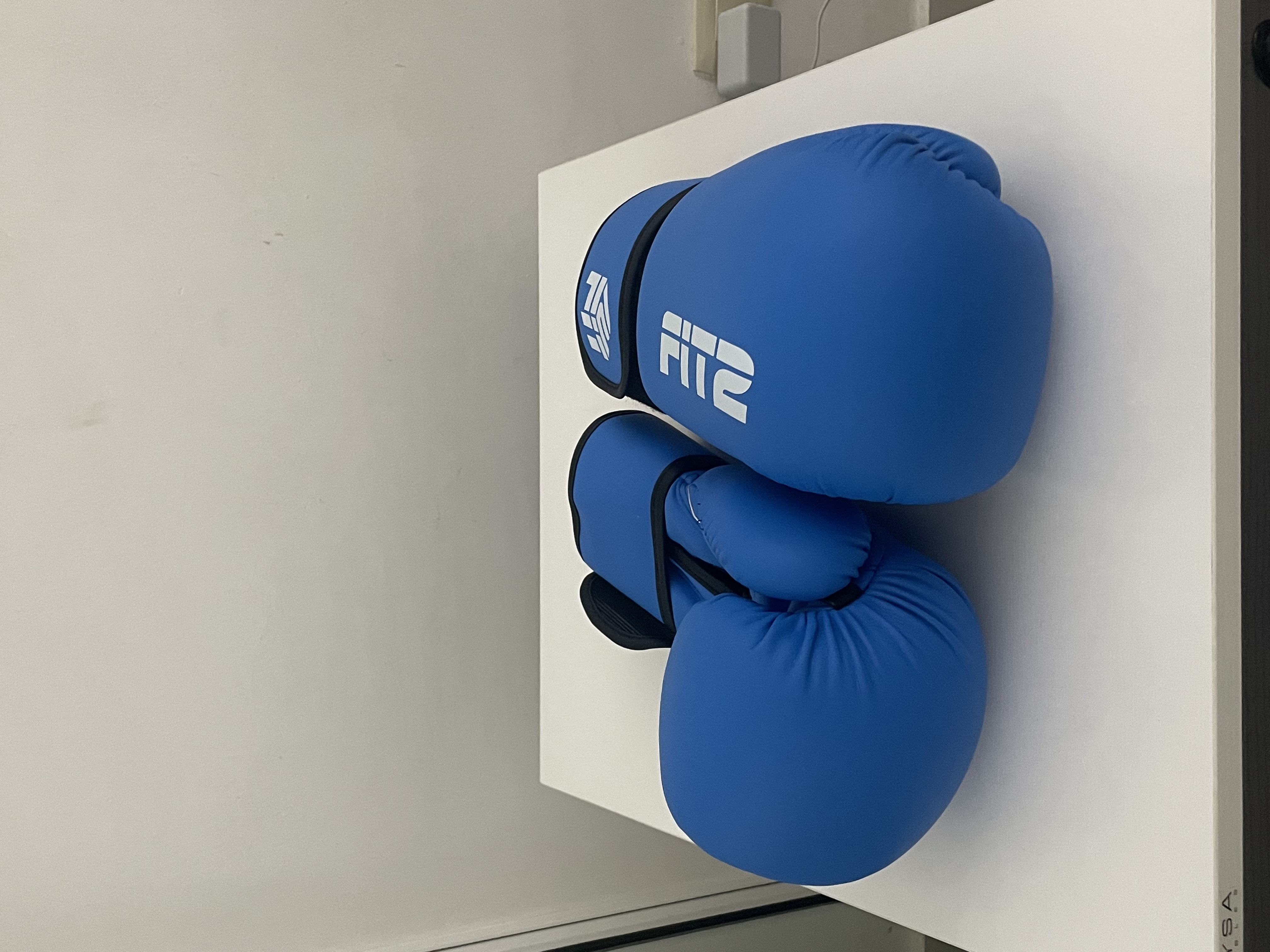 deportes - Guantes de boxeo Fit2 2