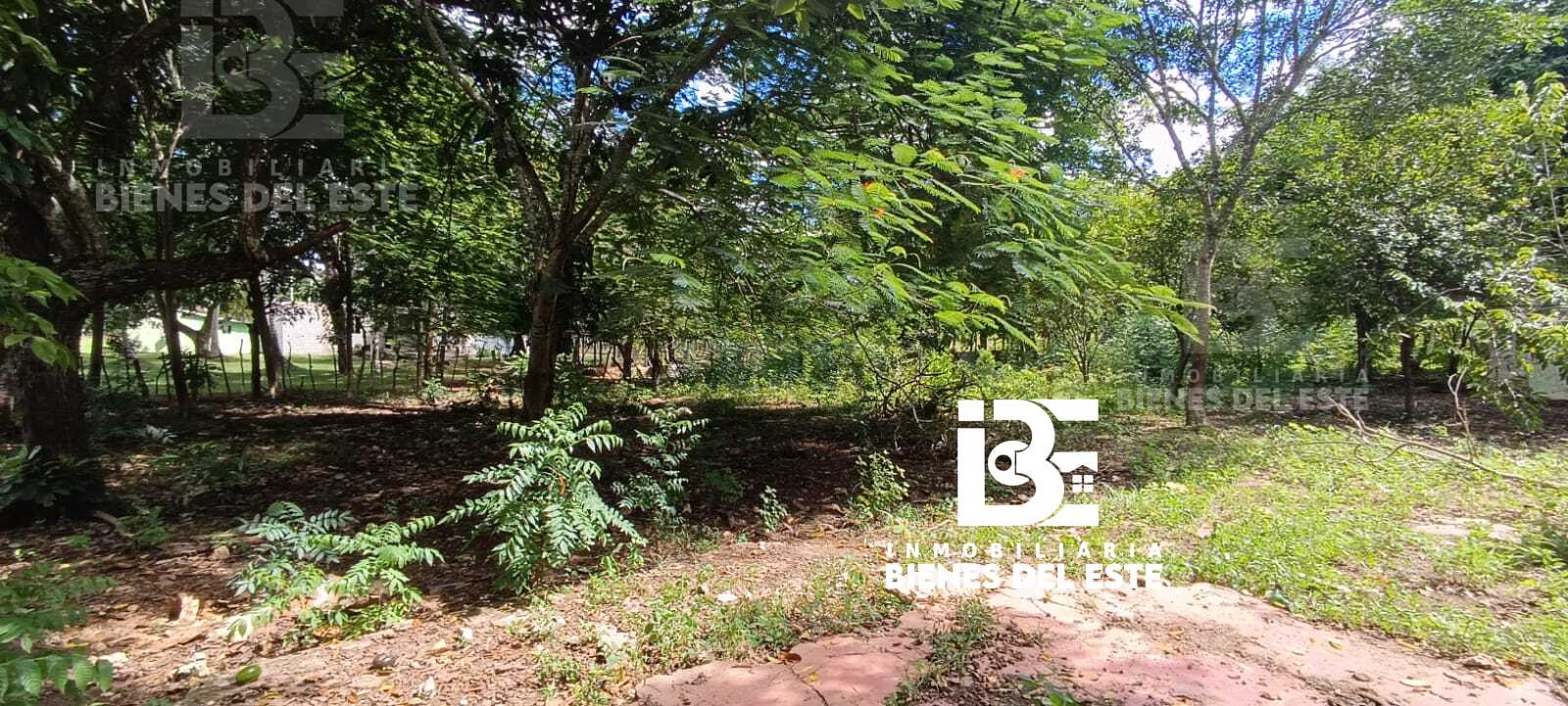 solares y terrenos - Finca con 3.3 Tareas en Ramon Santana, De Oportuni 2
