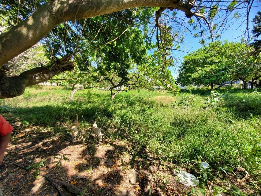 solares y terrenos - Terreno en venta #24-1484 Presentamos un terreno excepcional de 2800 m²  0