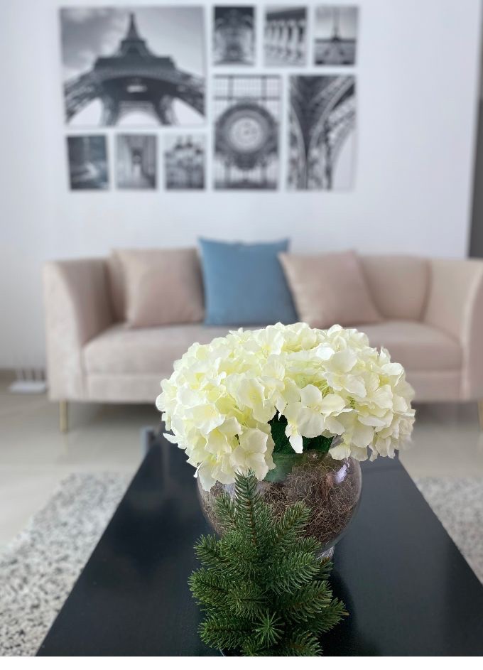 apartamentos - Naco alquiler amueblado 1