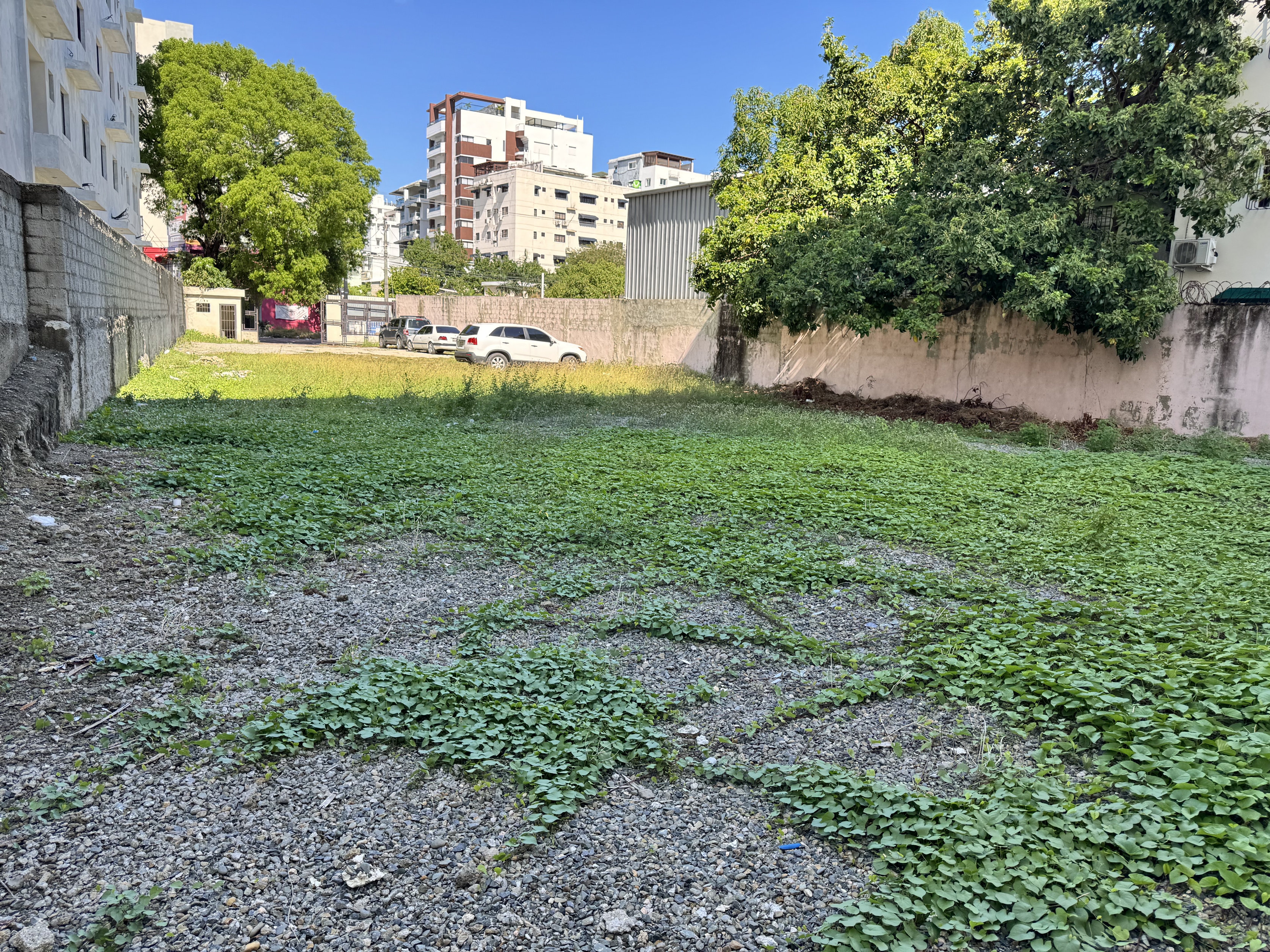 solares y terrenos - solar bella vista centro en alquiler ideal para deelers y food trucks 2