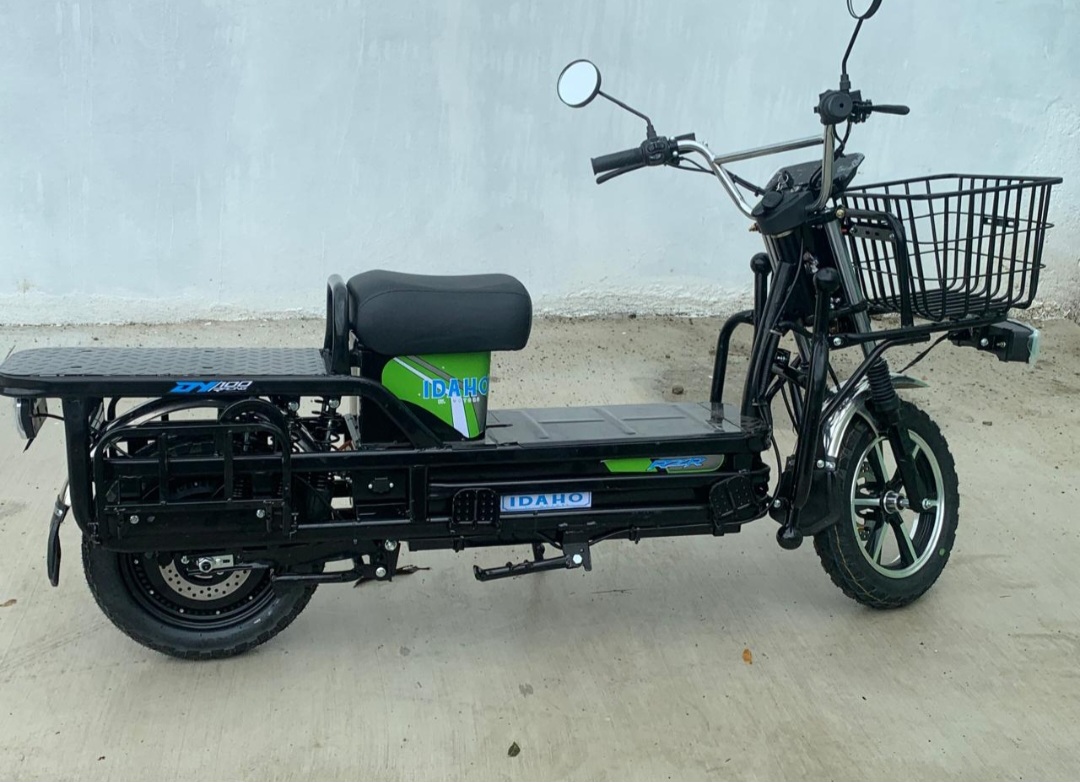 motores y pasolas - Motores eléctricos reforzados para delivey 2