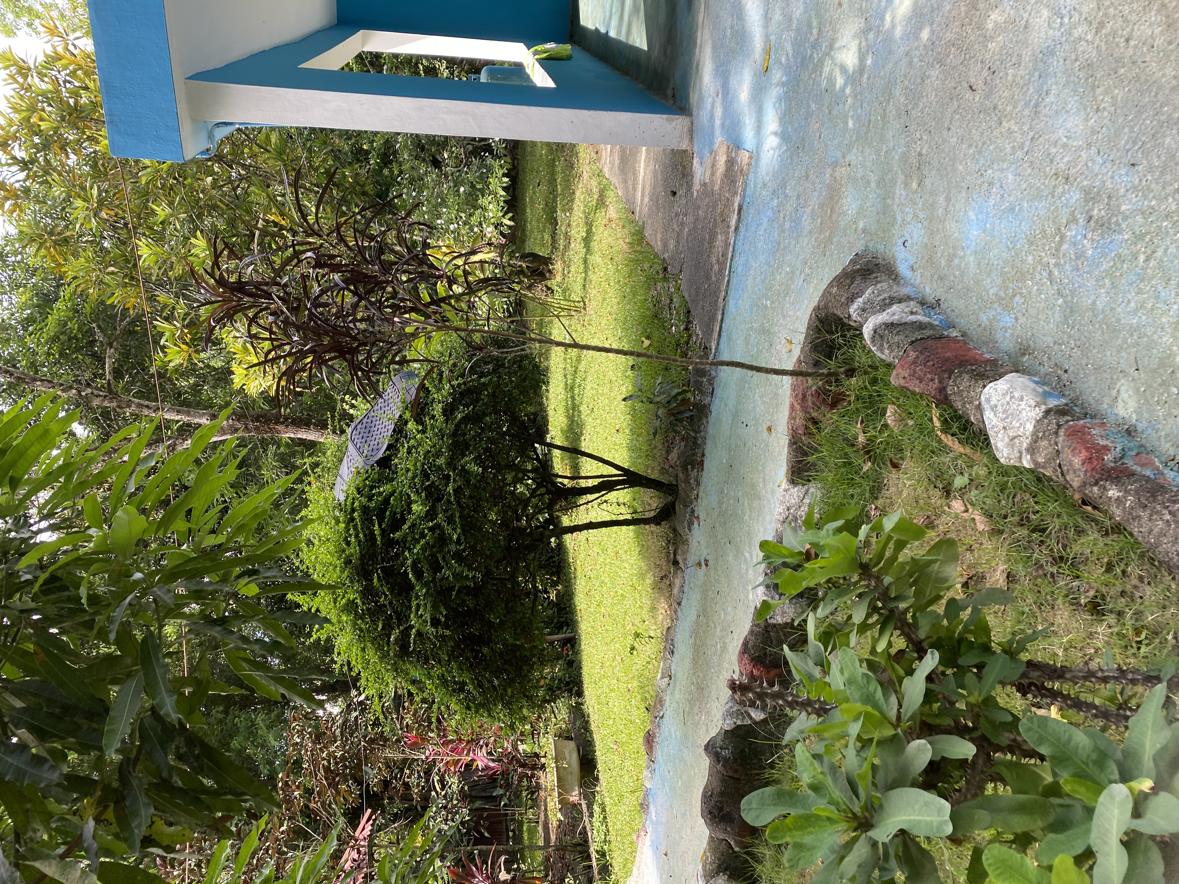 casas vacacionales y villas - Finca en venta 1