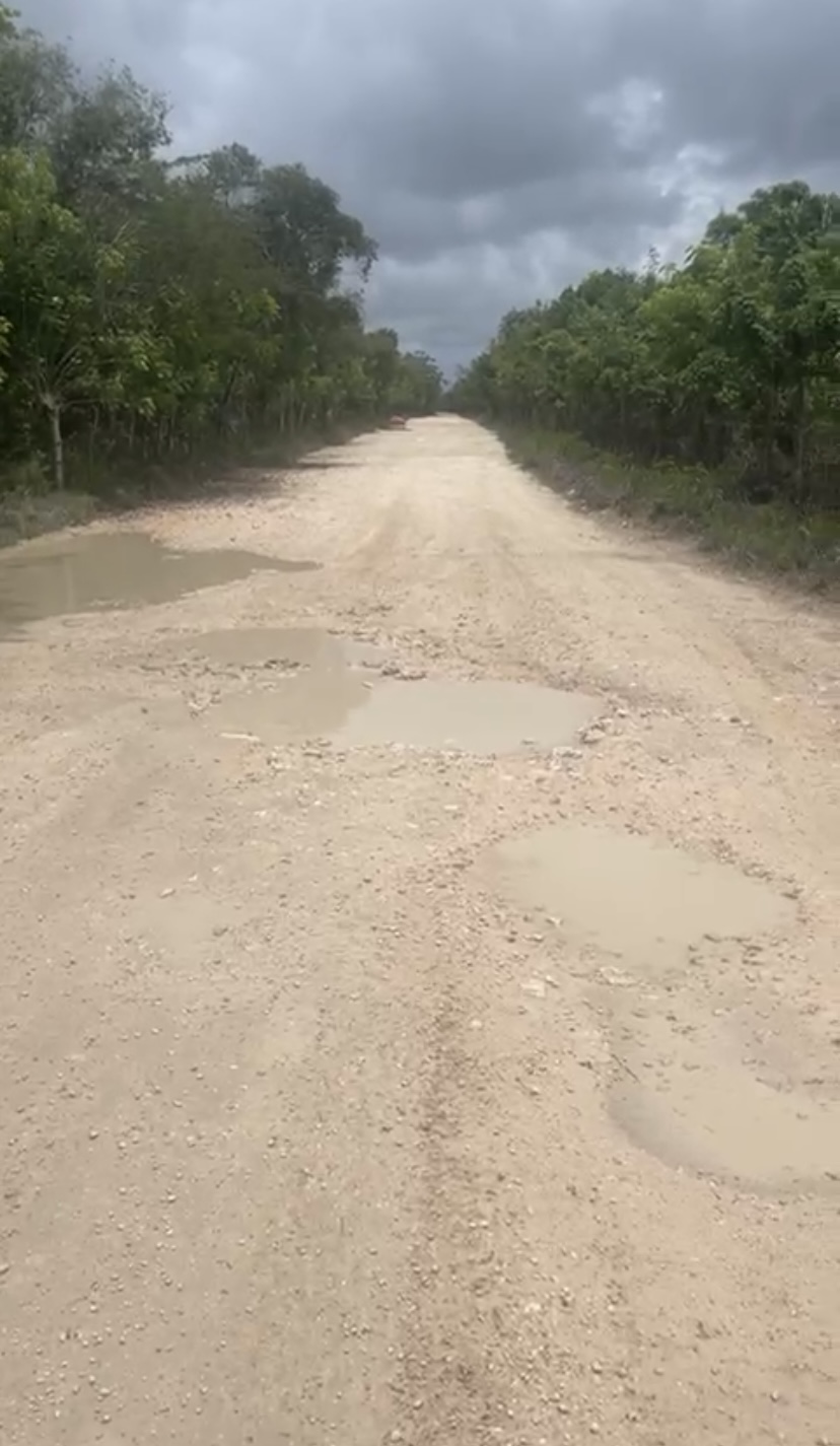 solares y terrenos - Vendo solar en bávaro punta cana (legal)  1