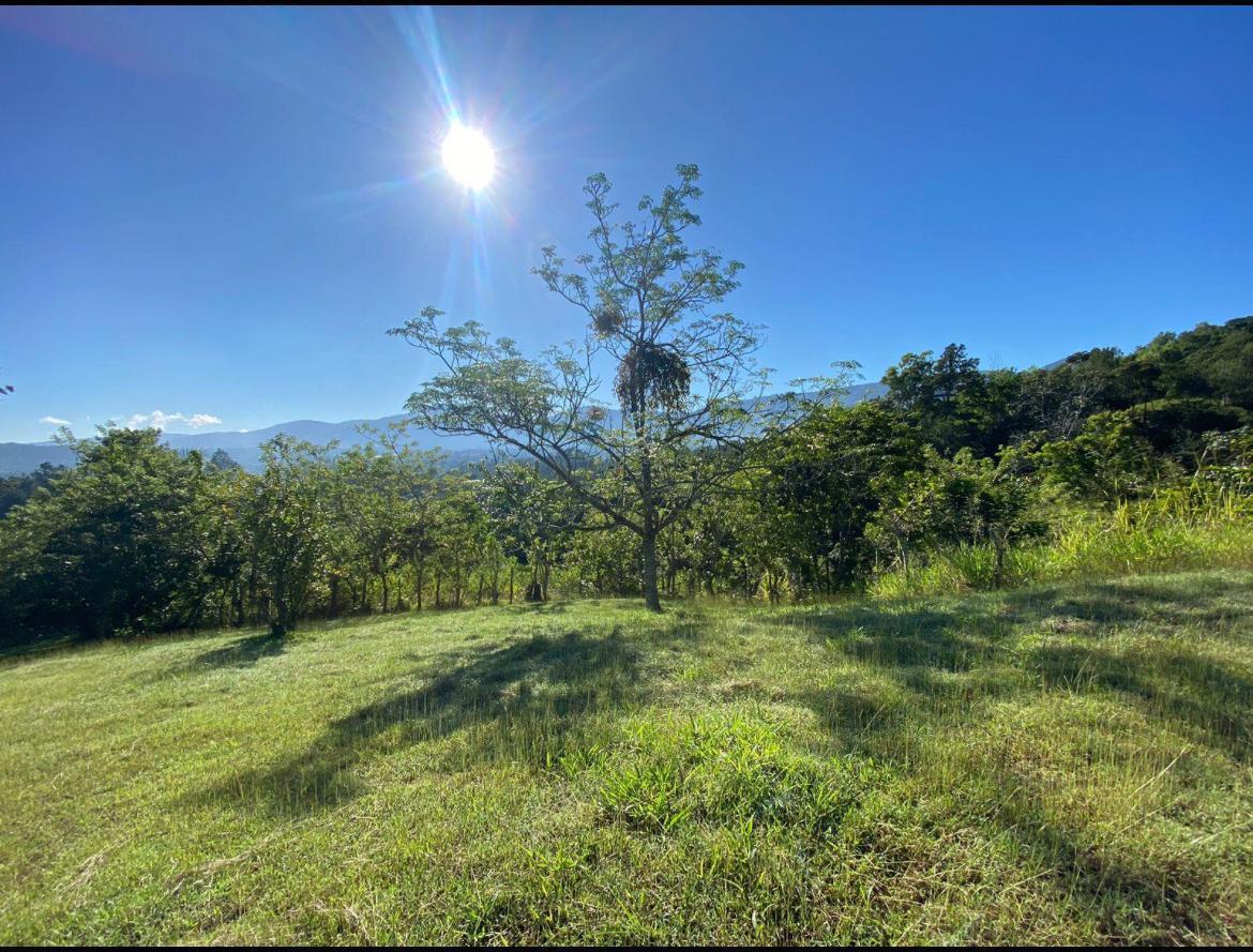 solares y terrenos - Solares Exclusivo en Venta en Jarabacoa 0