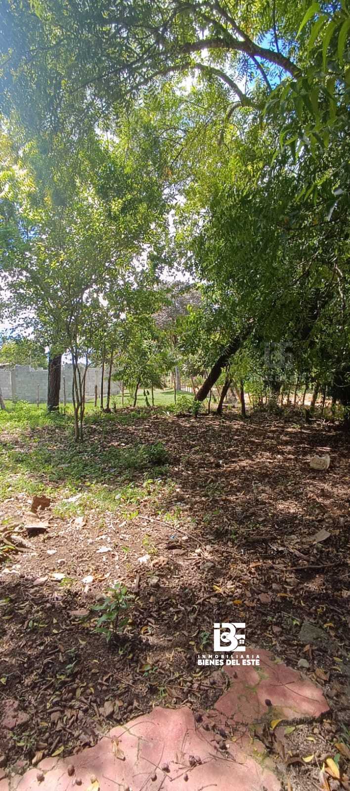 solares y terrenos - Finca con 3.3 Tareas en Ramon Santana, De Oportuni 3
