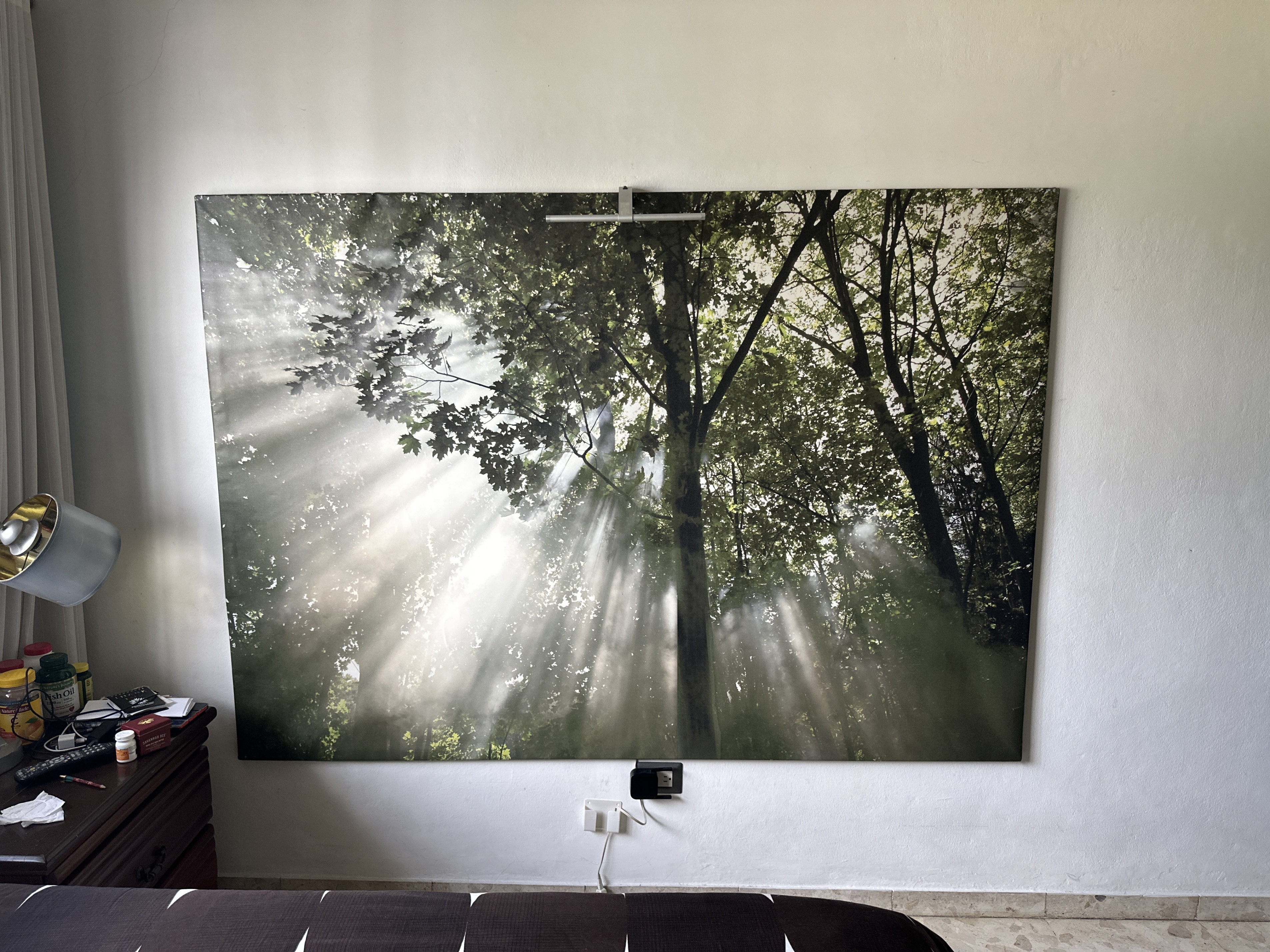 decoración y accesorios - Cuadro Canvas Gigante – Bosque con Luz Natural | Decoración Impactante 3