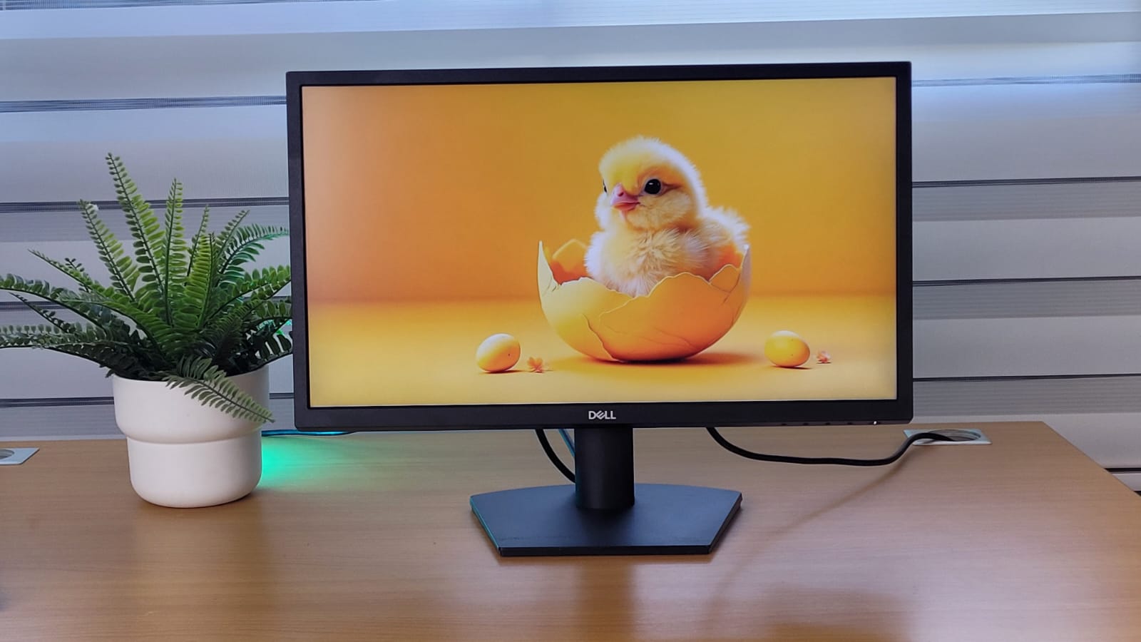 computadoras y laptops - Monitor Dell 22 PLG , HDMI ,  SE2222H  0