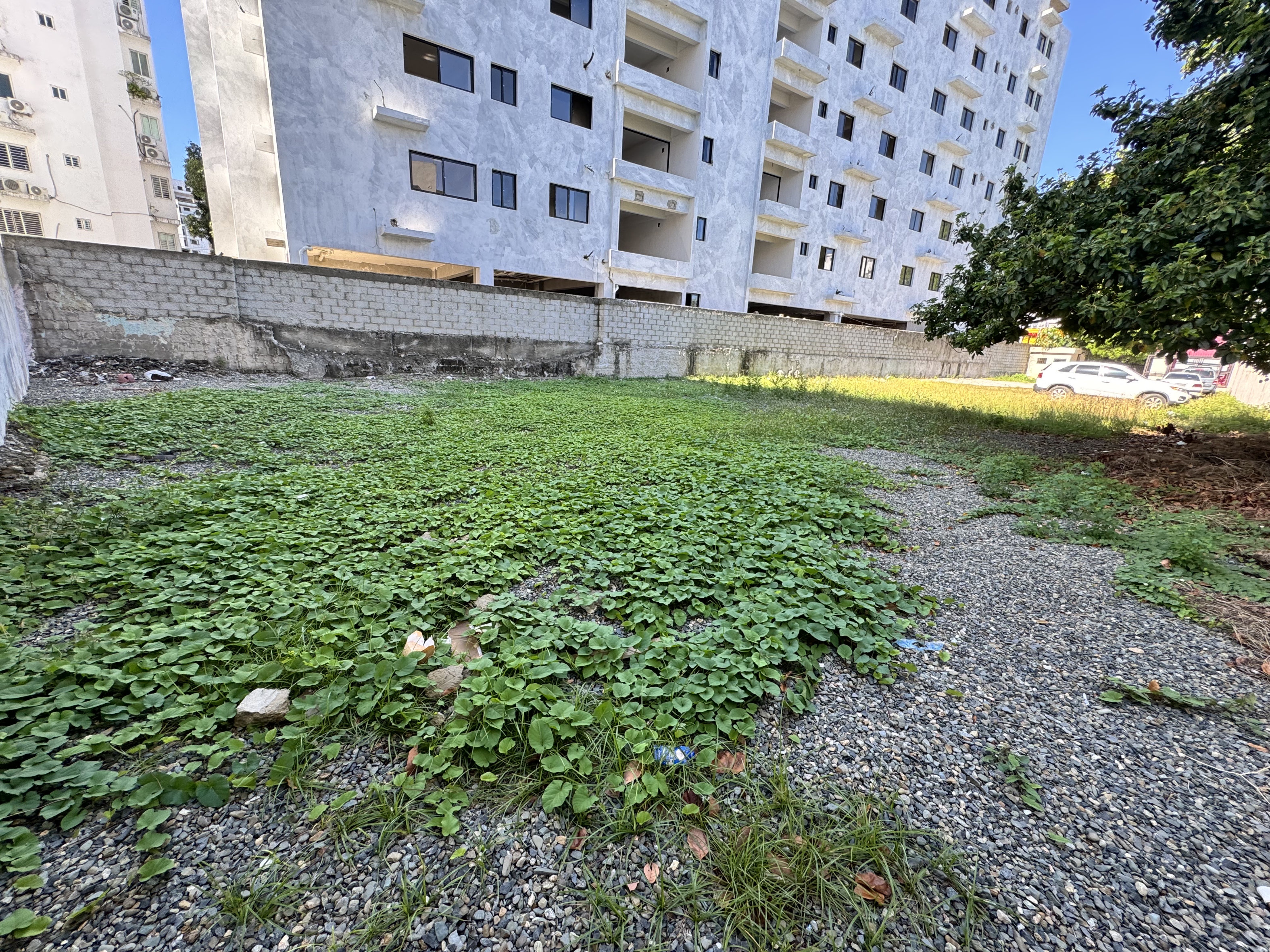 solares y terrenos - solar bella vista centro en alquiler ideal para deelers y food trucks 6