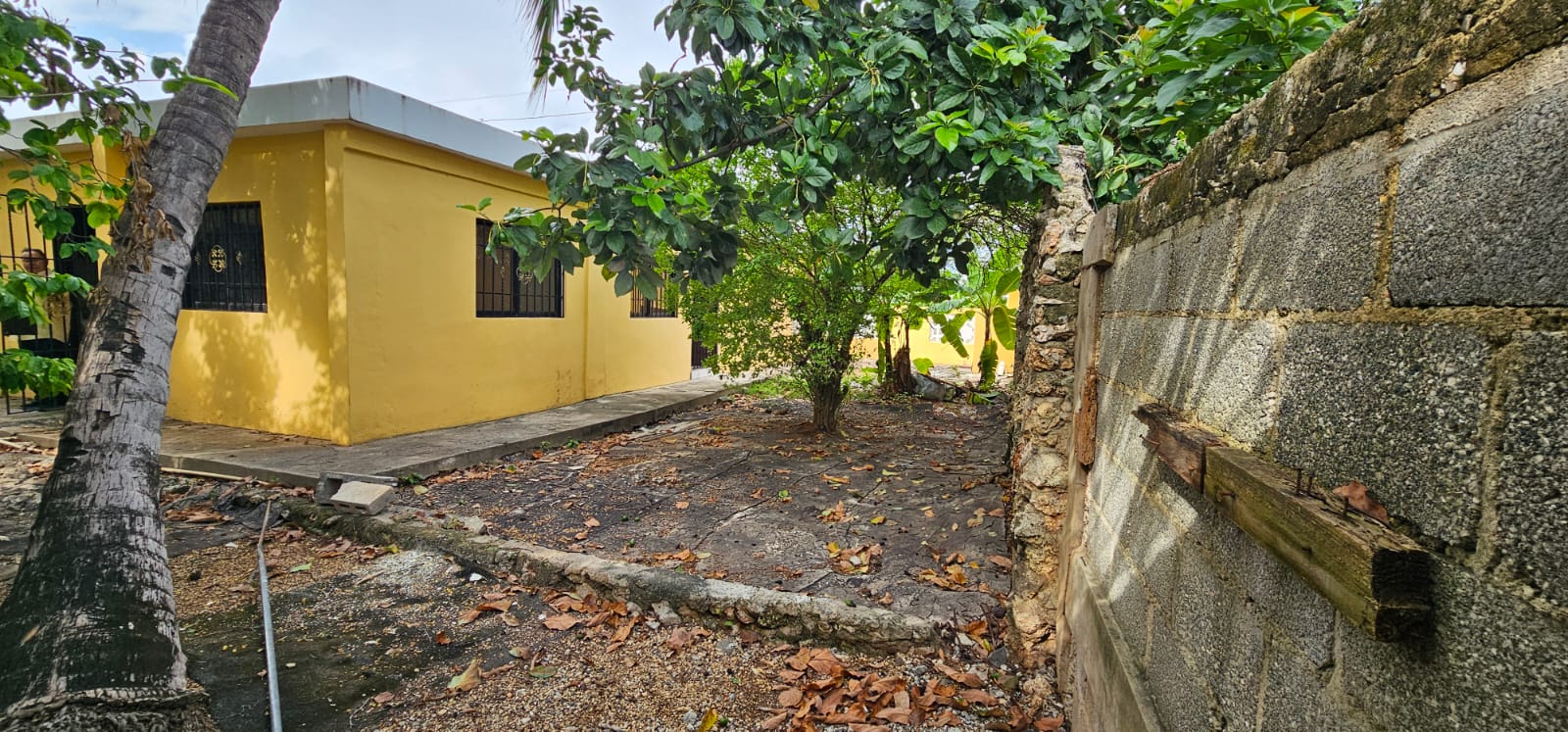 casas - Venta de casa en una zona privilegiada  1