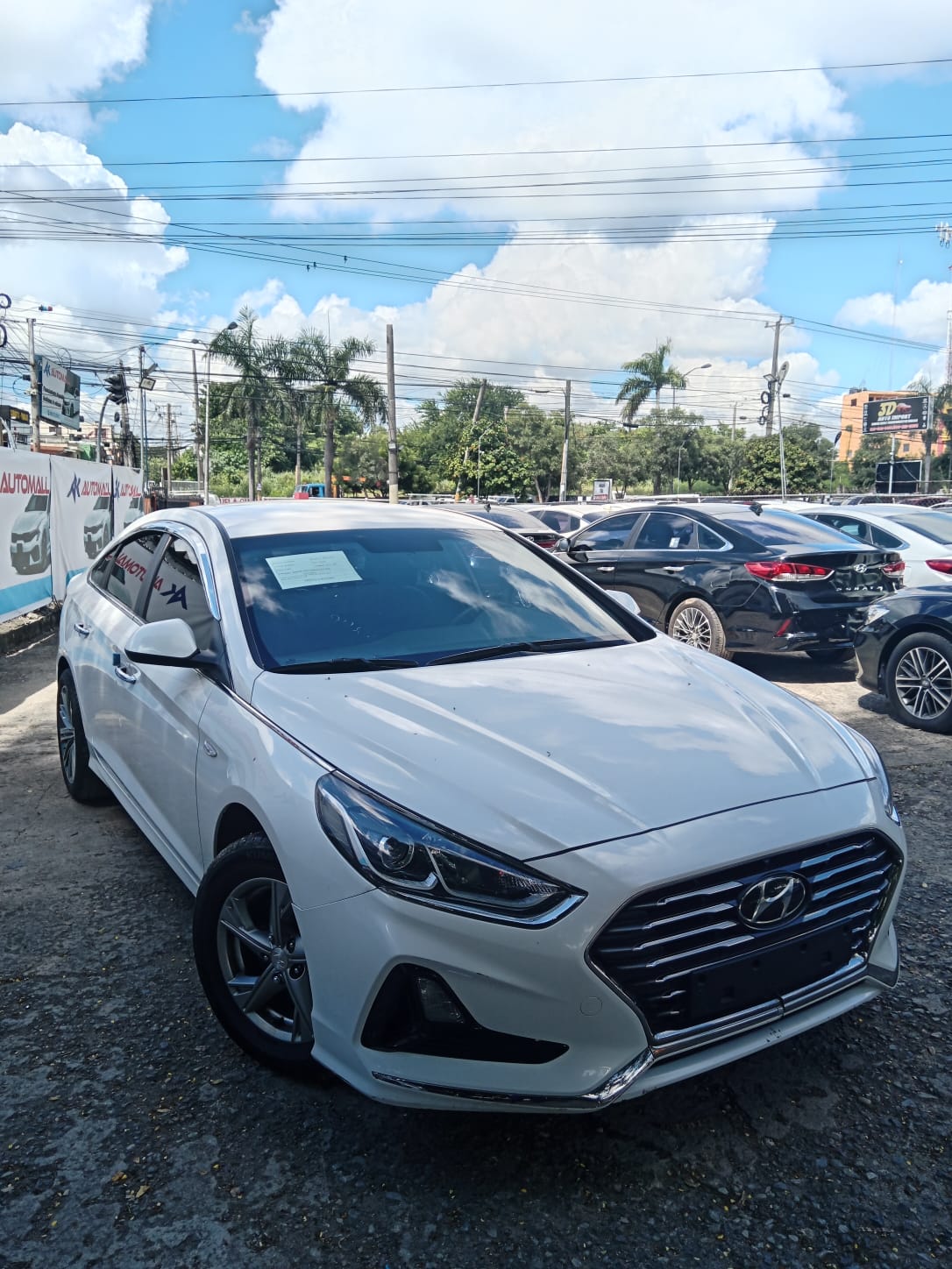 carros - HYUNDAI SONATA NEW RISE 2019 BLANCO 2