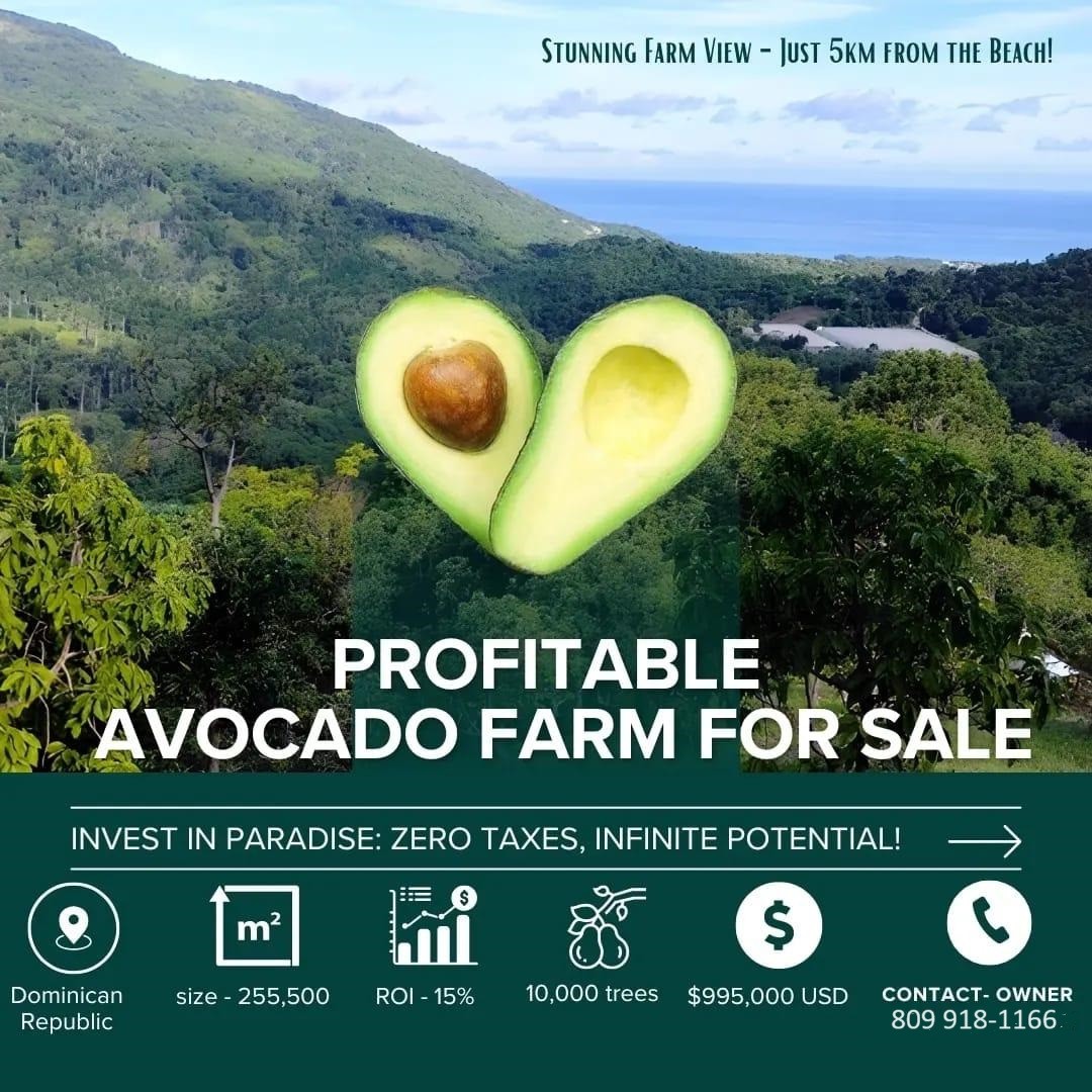 apartamentos -  Finca de AGUACATE en PRODUCCION en Paraíso BARAHONA,  255600 Mts2, VISTA AL MAR 6