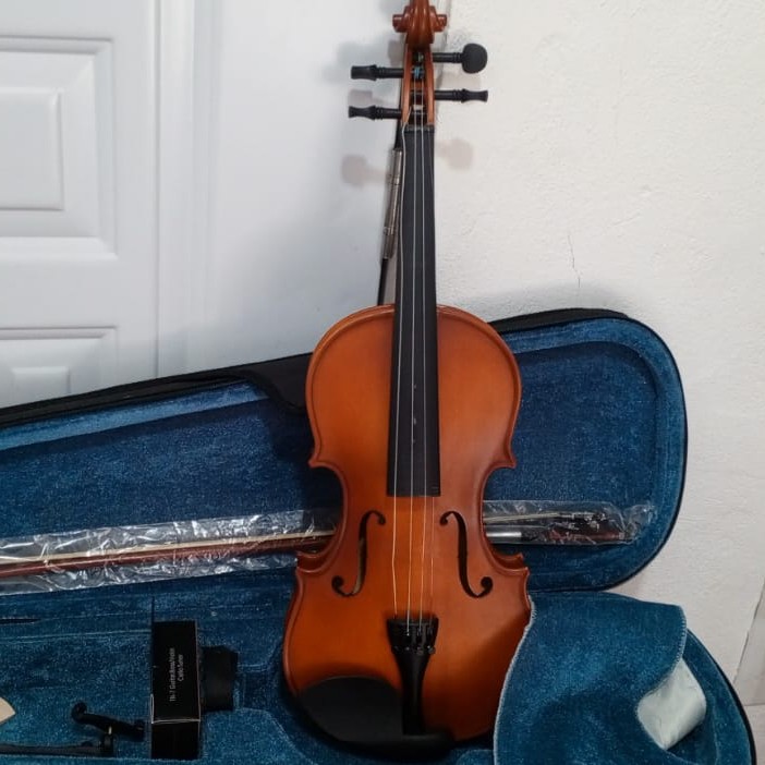 instrumentos musicales - Violín 4/4 en venta 0