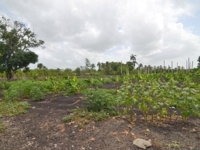 solares y terrenos - Terreno en Venta en Monte de la Jagua, Moca 0