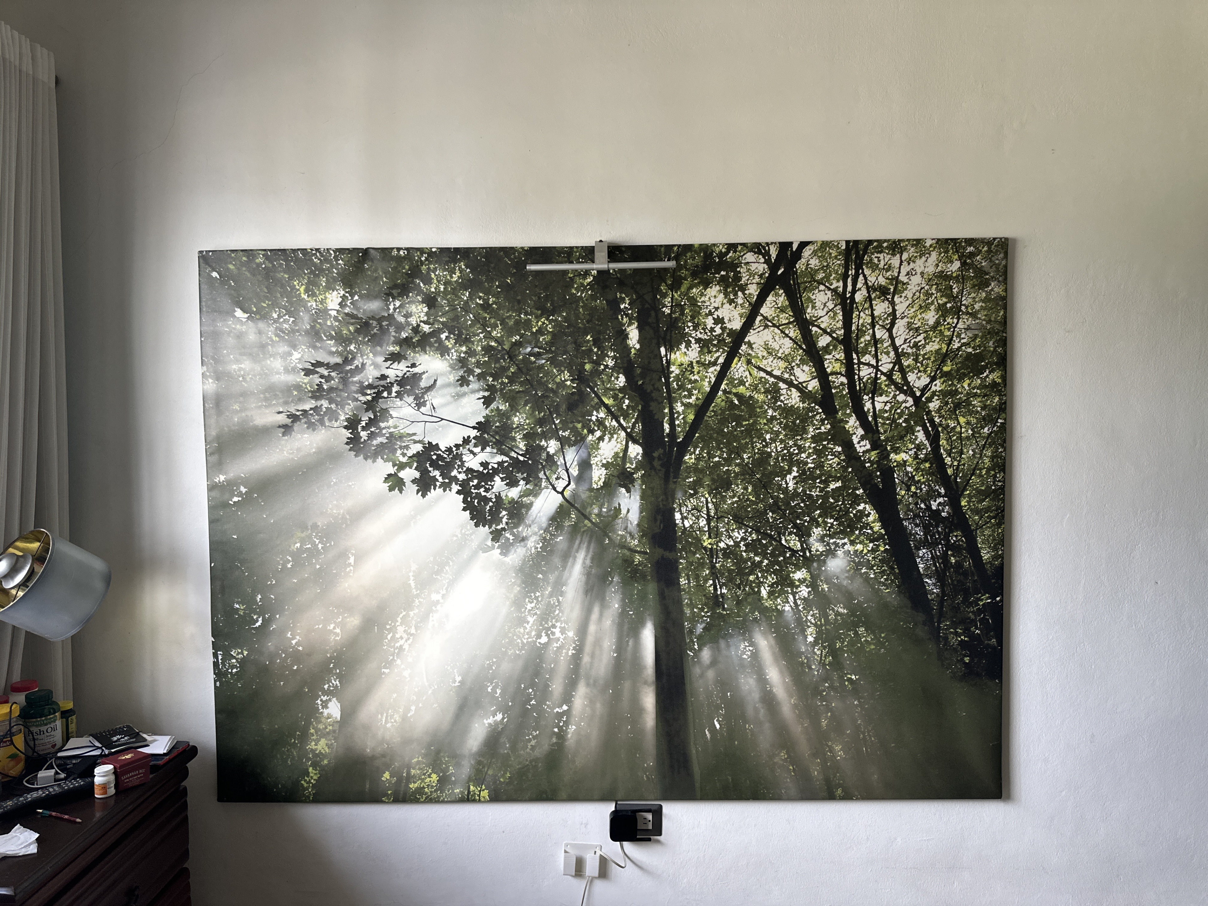 decoración y accesorios - Cuadro Canvas Gigante – Bosque con Luz Natural | Decoración Impactante 0
