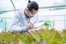 empleos disponibles - Se Solicita agrónomo 
 0