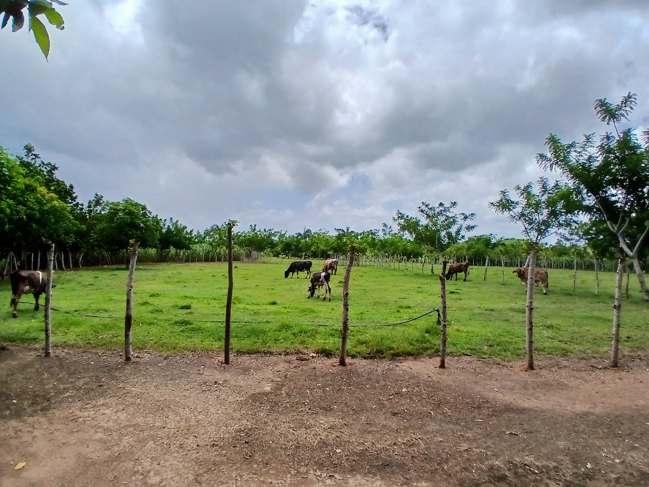 solares y terrenos - Finca  9