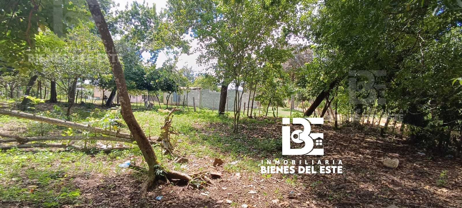 solares y terrenos - Finca con 3.3 Tareas en Ramon Santana, De Oportuni 4