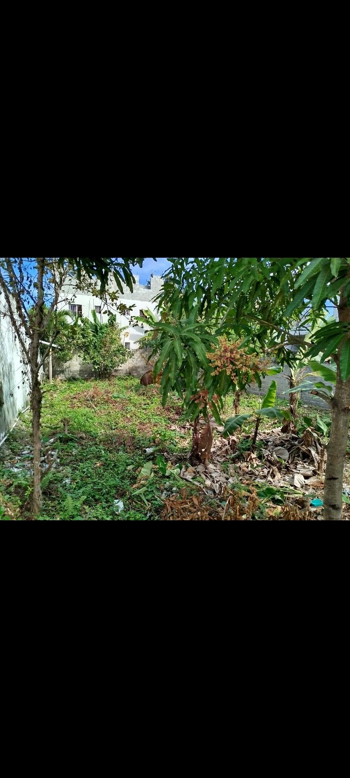 solares y terrenos - solar en venta con su título  1