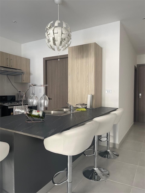 apartamentos - Apartamento amueblado en alquiler naco 3