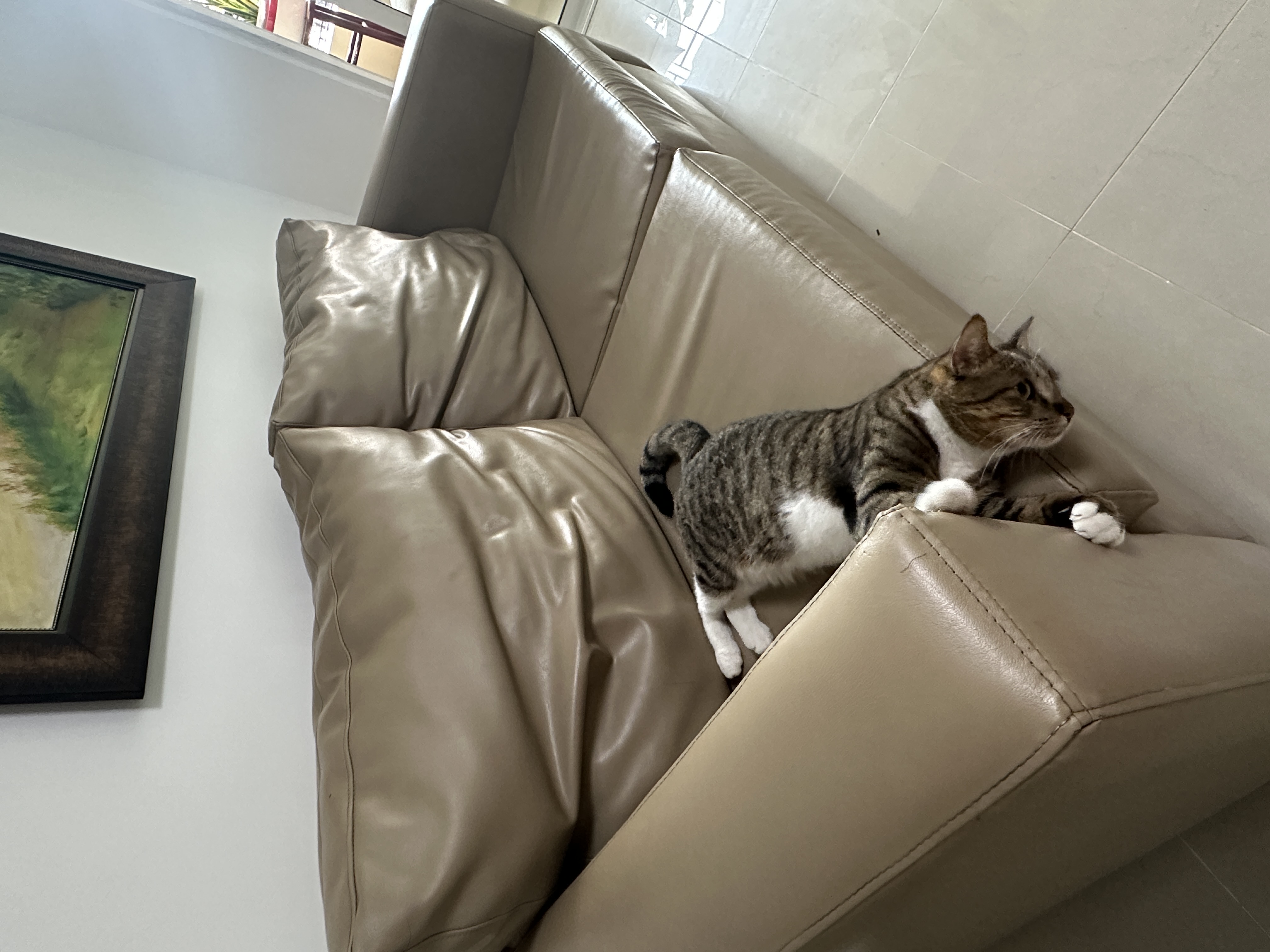 muebles y colchones - Venta de Mueble de Leather: Estilo y Durabilidad Garantizados 1