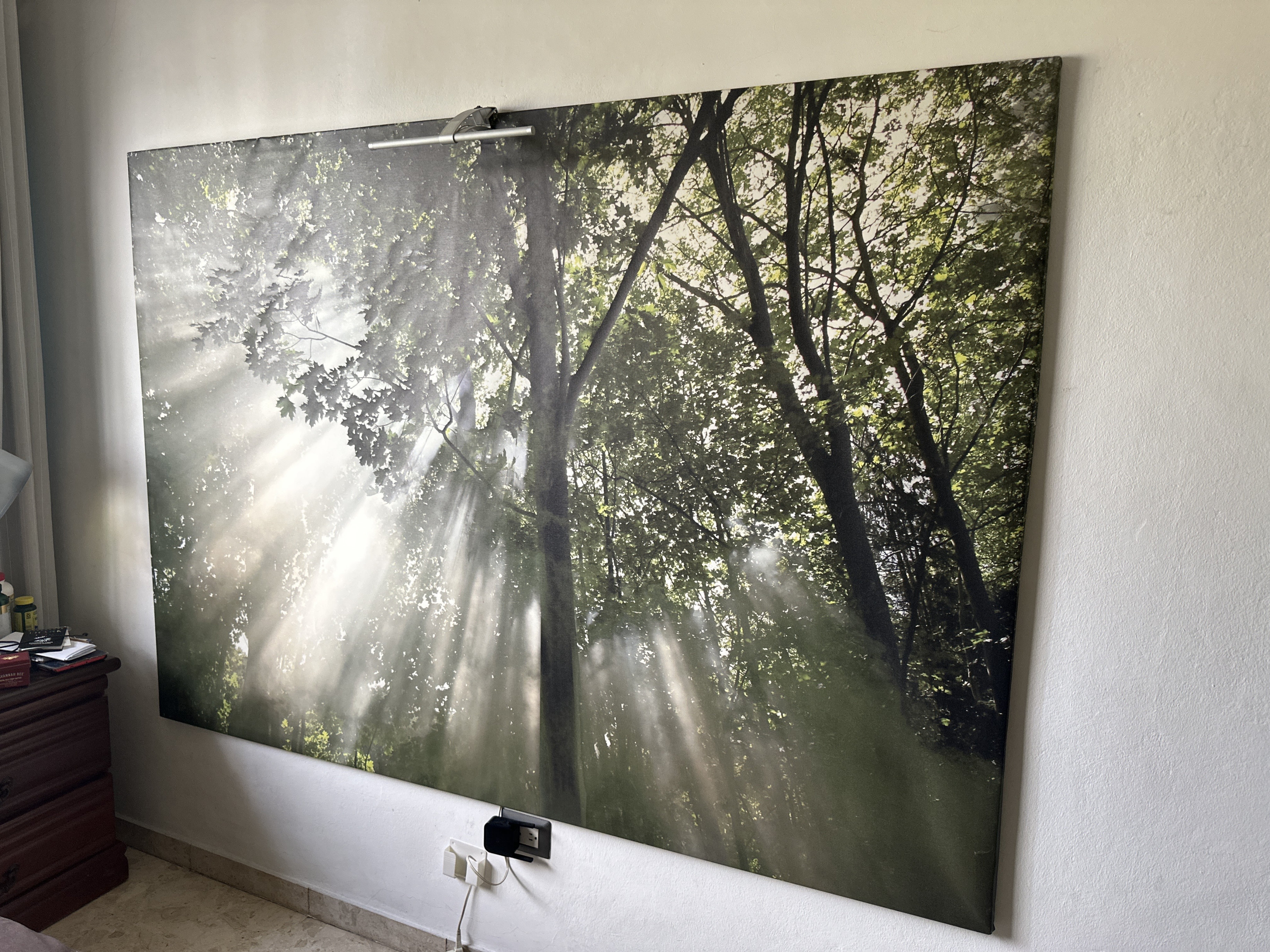 decoración y accesorios - Cuadro Canvas Gigante – Bosque con Luz Natural | Decoración Impactante 1