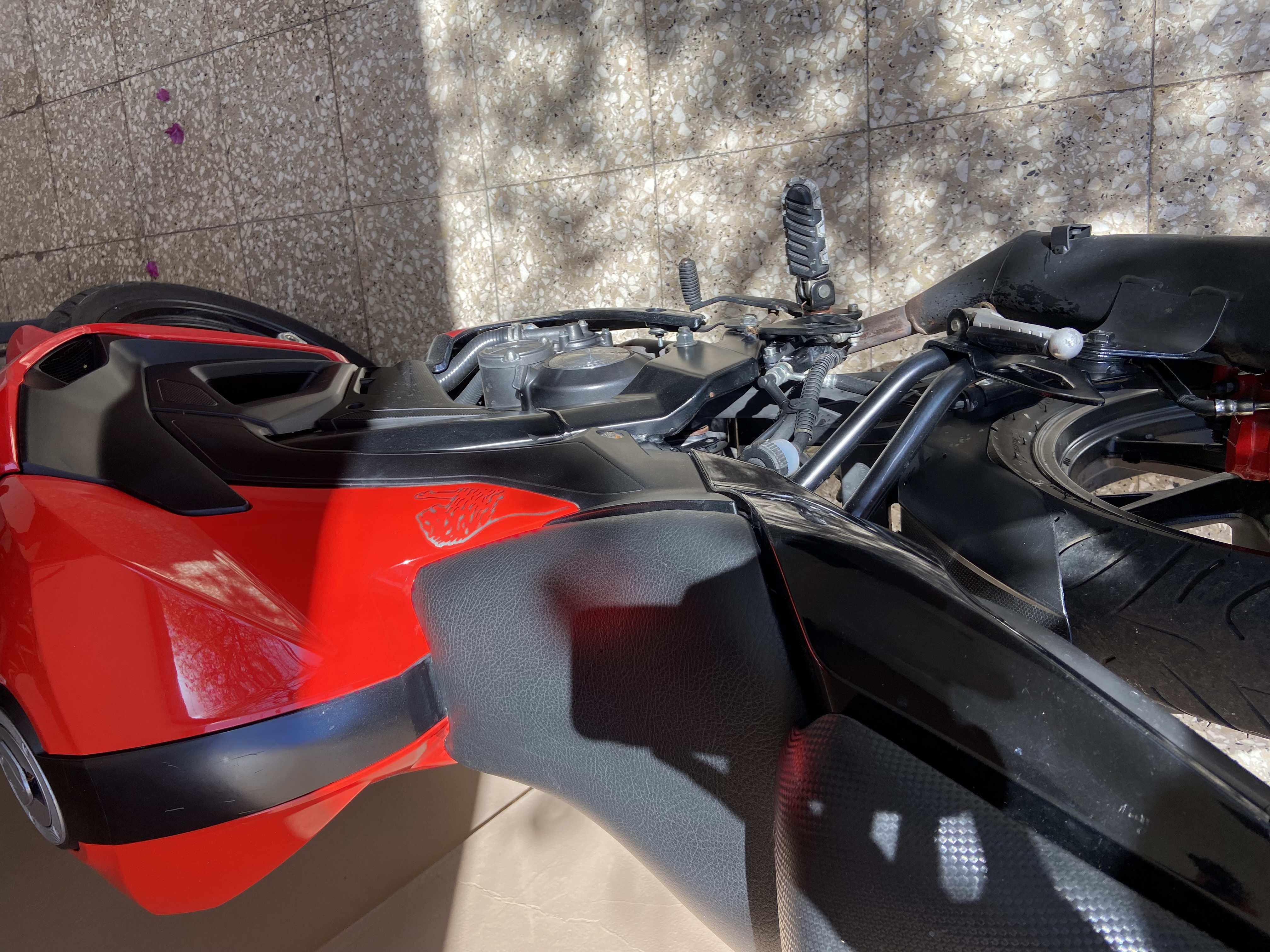 motores y pasolas - Benelli 180s 2022 4