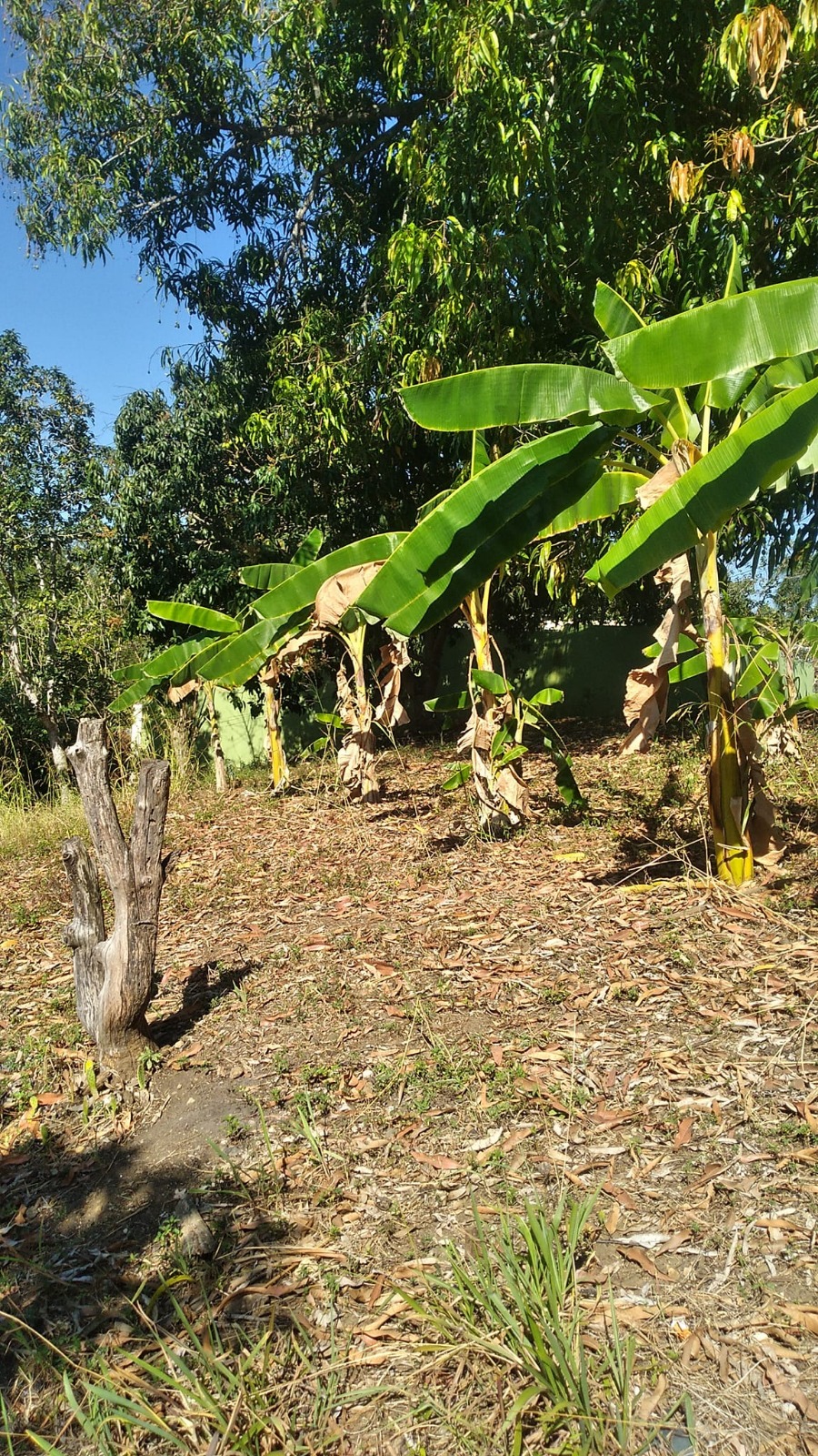 solares y terrenos - vendo terreno entre la circunvalación con 6 de Nov