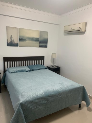 apartamentos - Hermoso apartamento de 1 habitación 6