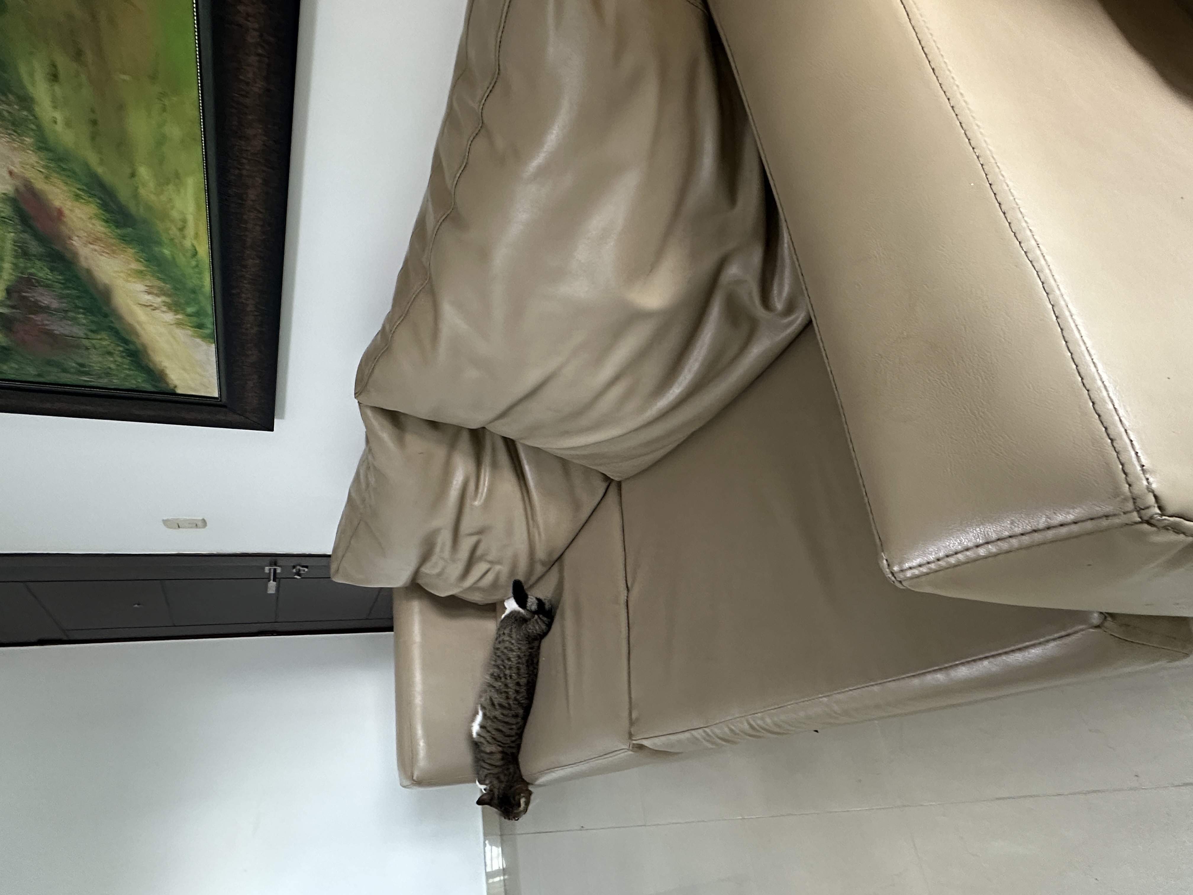 muebles y colchones - Venta de Mueble de Leather: Estilo y Durabilidad Garantizados 2