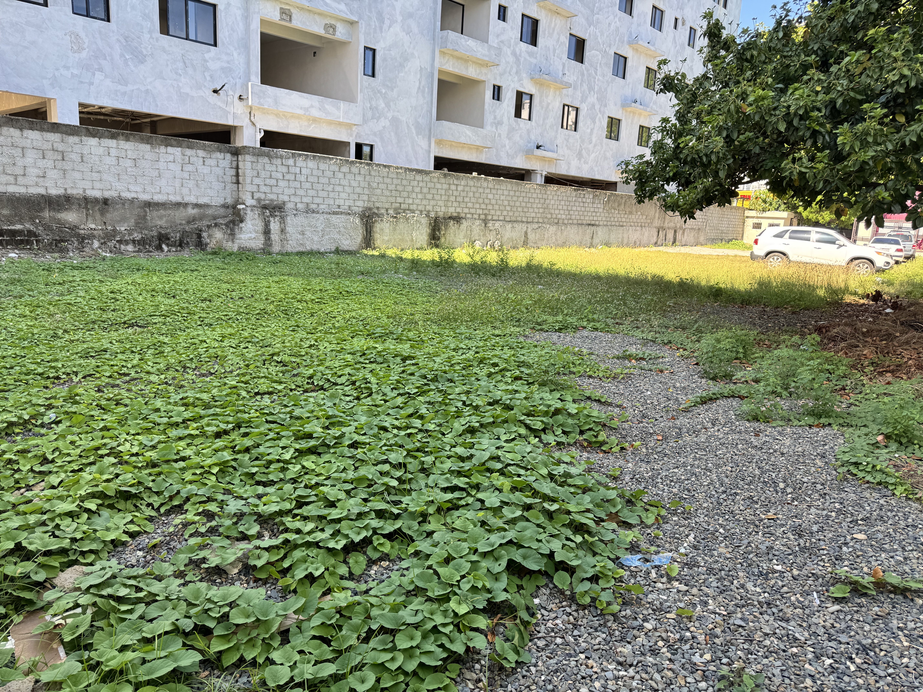 solares y terrenos - solar bella vista centro en alquiler ideal para deelers y food trucks 5