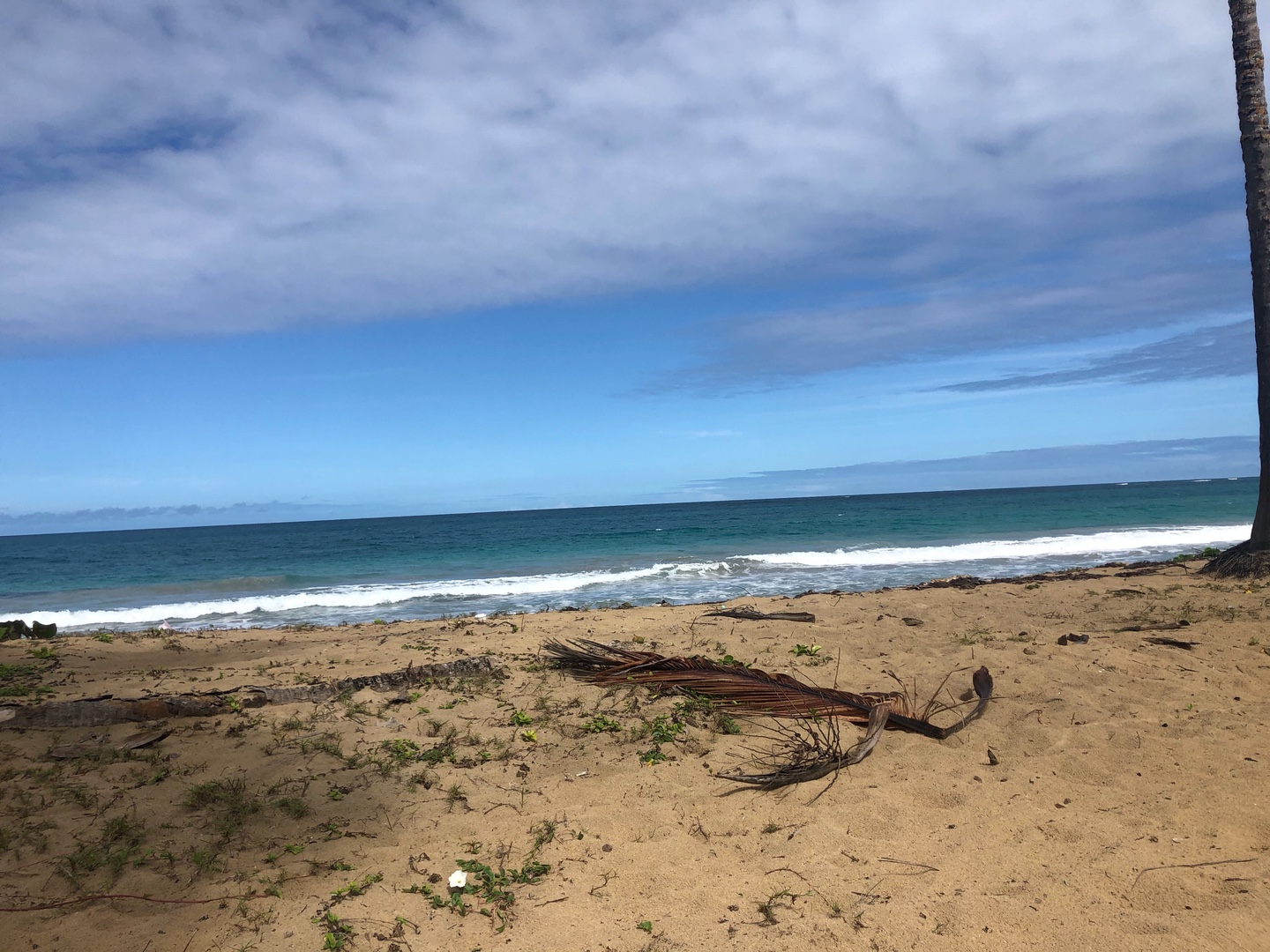 solares y terrenos - Vendo solares de playa  7