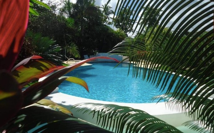 casas - Villa de 3 Habitaciones con piscina próximo a la Playa Ballenas, Las Terrenas 0