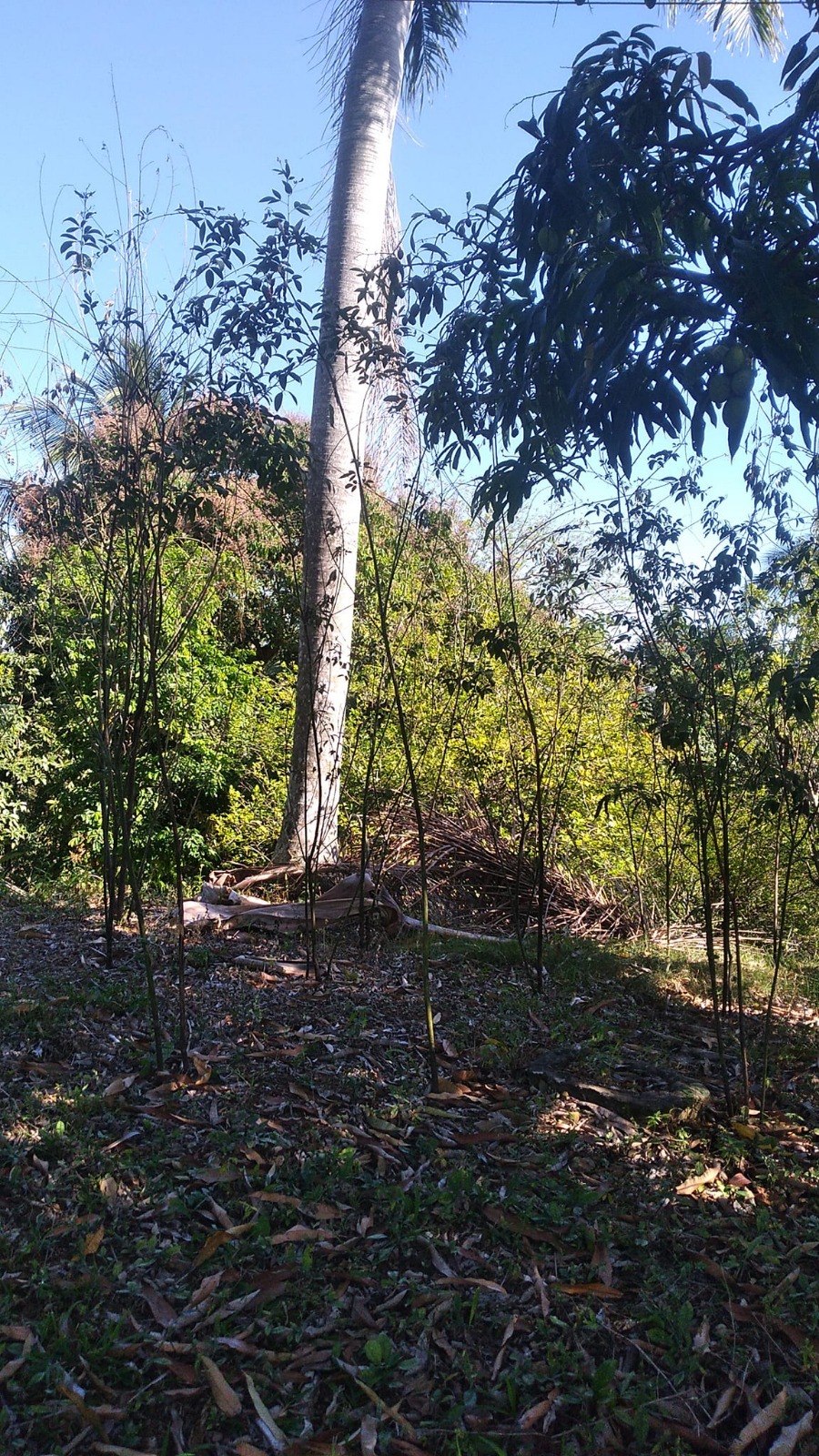 solares y terrenos - vendo terreno entre la circunvalación con 6 de Nov 1