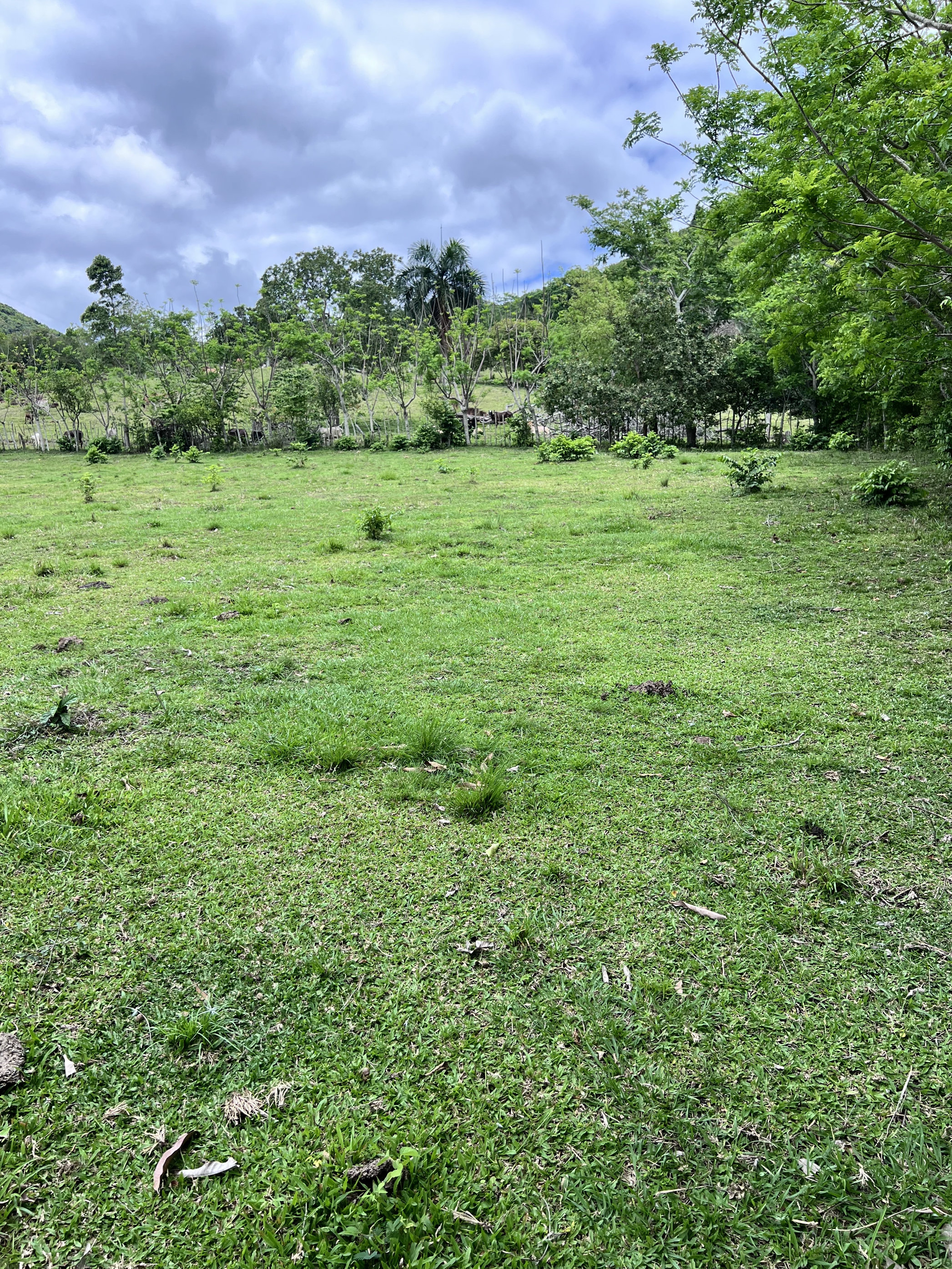 solares y terrenos - la estancia