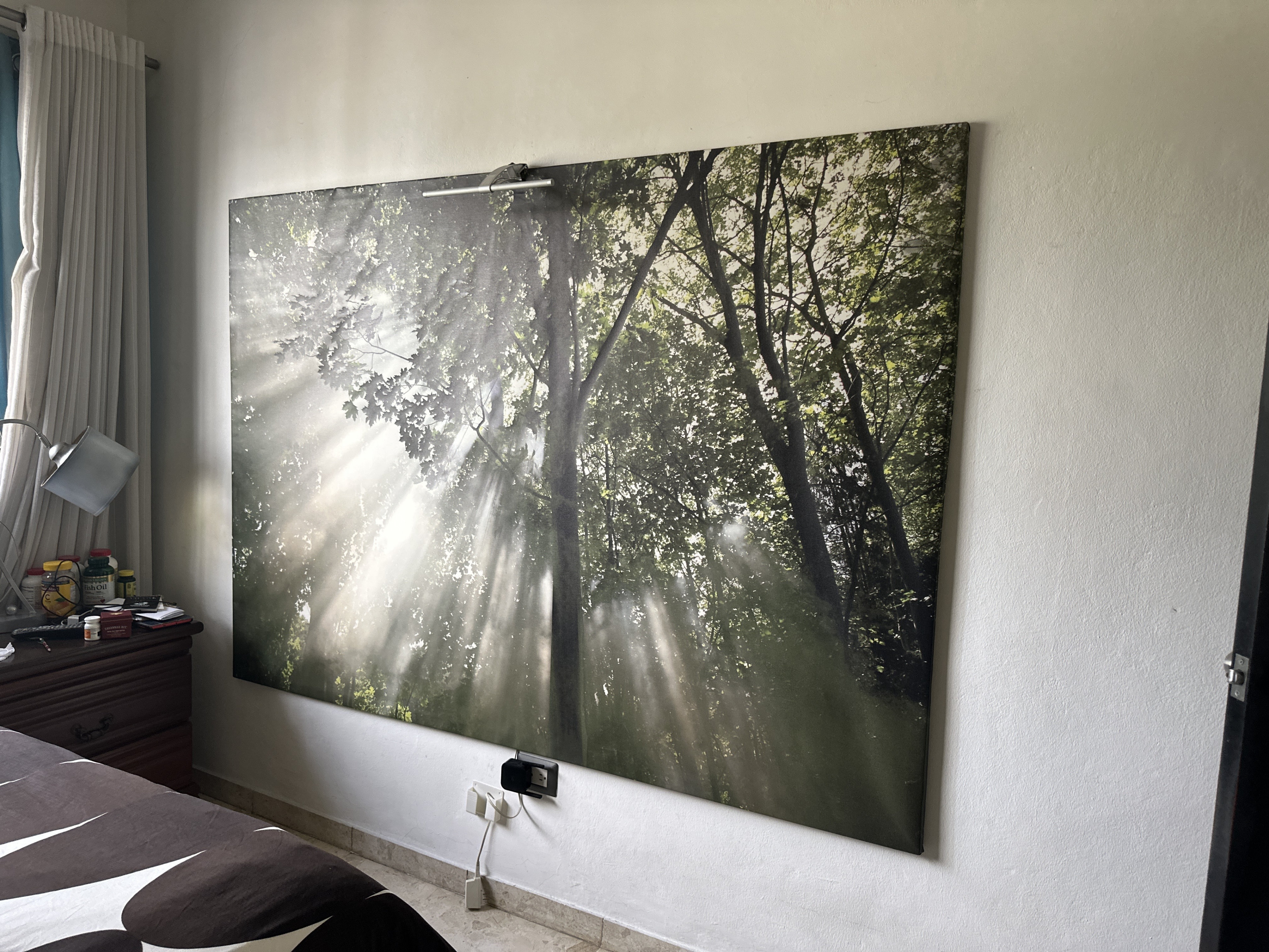 decoración y accesorios - Cuadro Canvas Gigante – Bosque con Luz Natural | Decoración Impactante 4