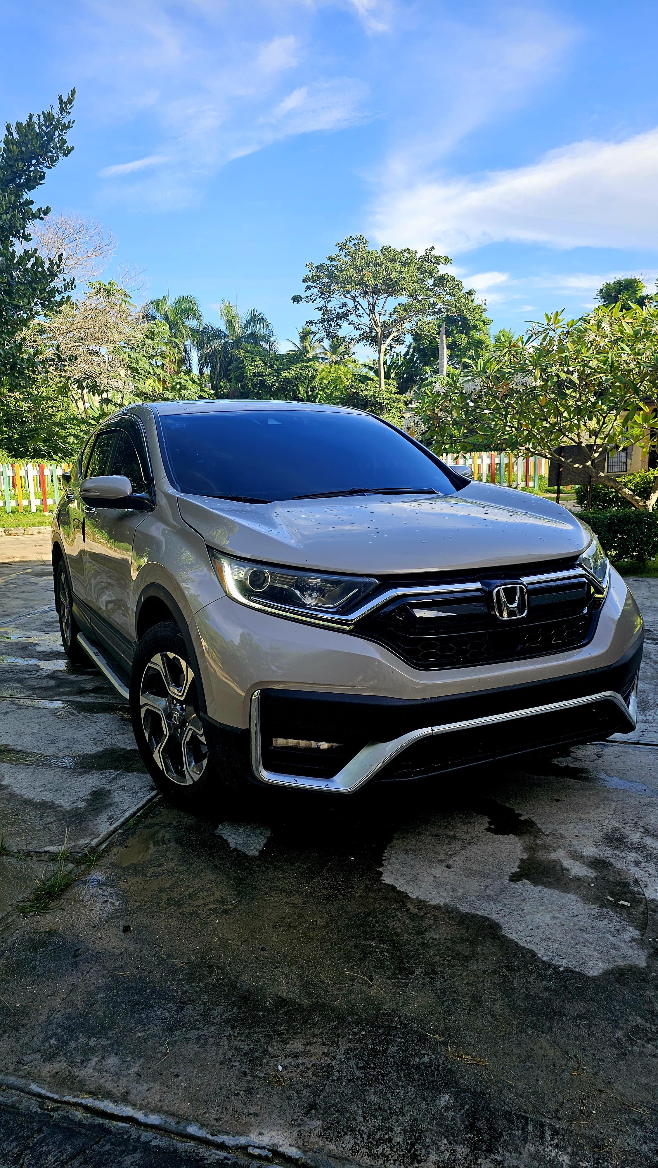 vehiculos recreativos - Alquiler de todo tipo de vehículos  7