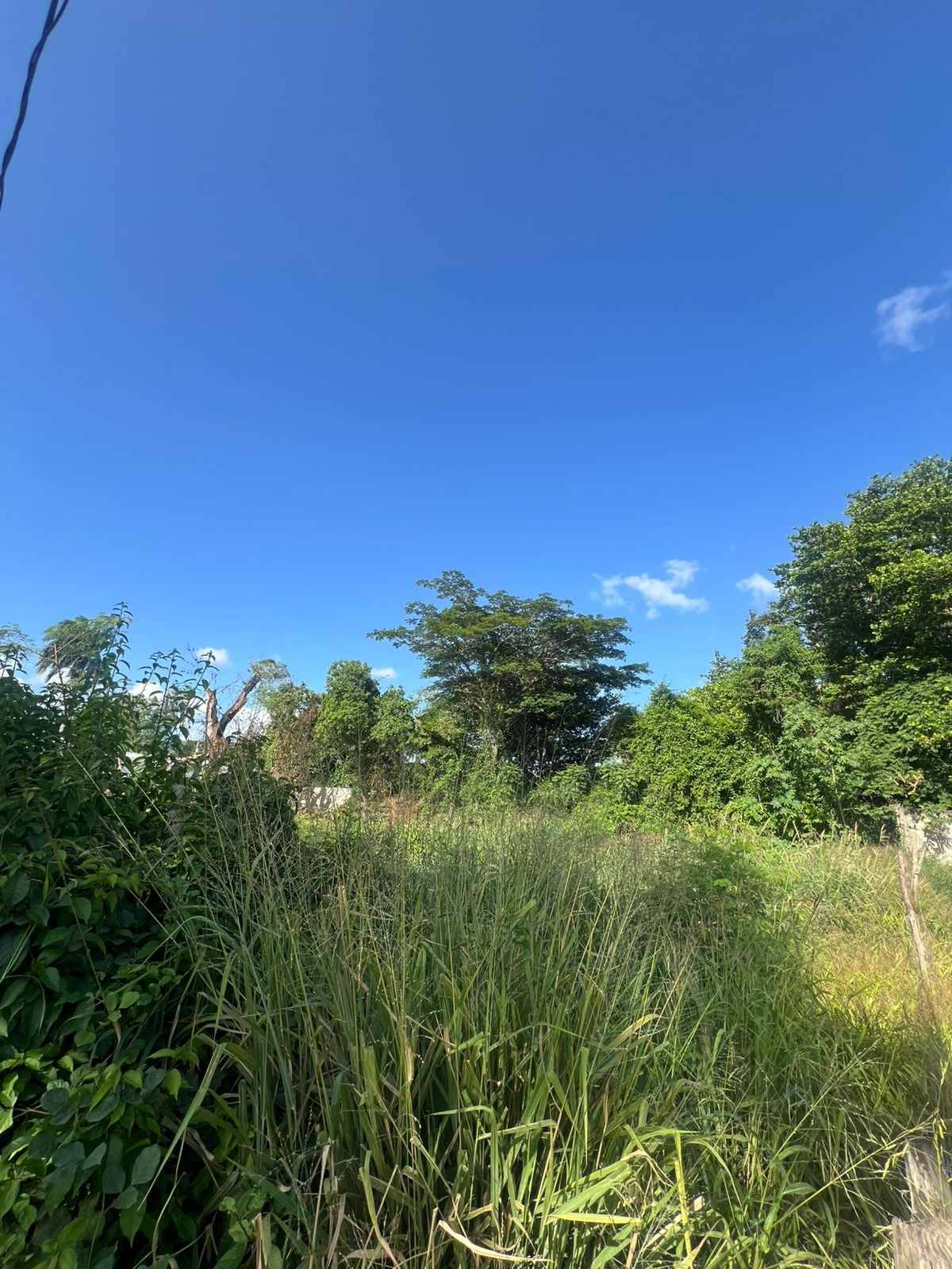 solares y terrenos - Terreno de Venta en Gurabo, Santiago 5