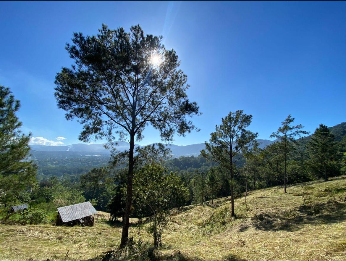 solares y terrenos - Solares Exclusivo en Venta en Jarabacoa 5