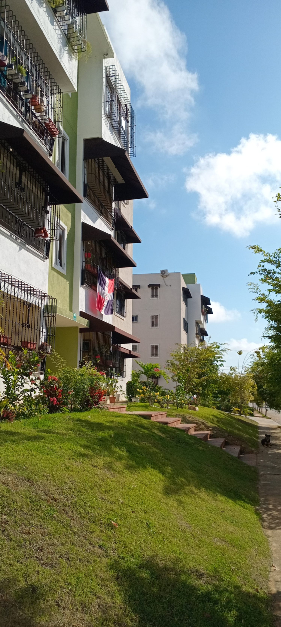 apartamentos - Apartamento de 3 habitacions 2 baños en san Isidro 2