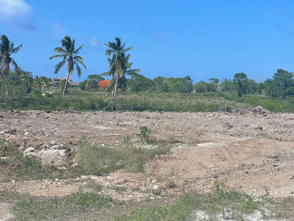 solares y terrenos - Terreno en Venta en White Sands / Punta Cana 3