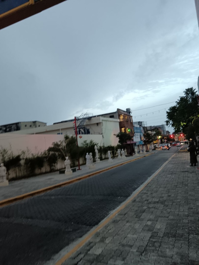oficinas y locales comerciales - Local en la Duarte Esquina Mexico Barrio Chino 4
