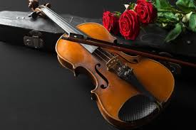 servicios profesionales - Para sus fiestas, Bodas y Quinceaños,  violinistas 1