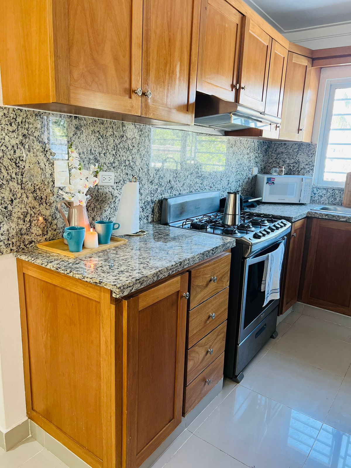 apartamentos - Apartamento amueblado en alquiler en Las Americas 4