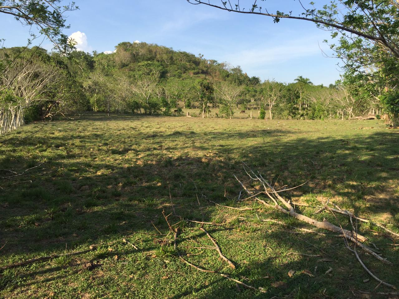 solares y terrenos - SUPER OFERTA DE FINCA EN YAMASA, 253 TAREAS, REBAJ 7